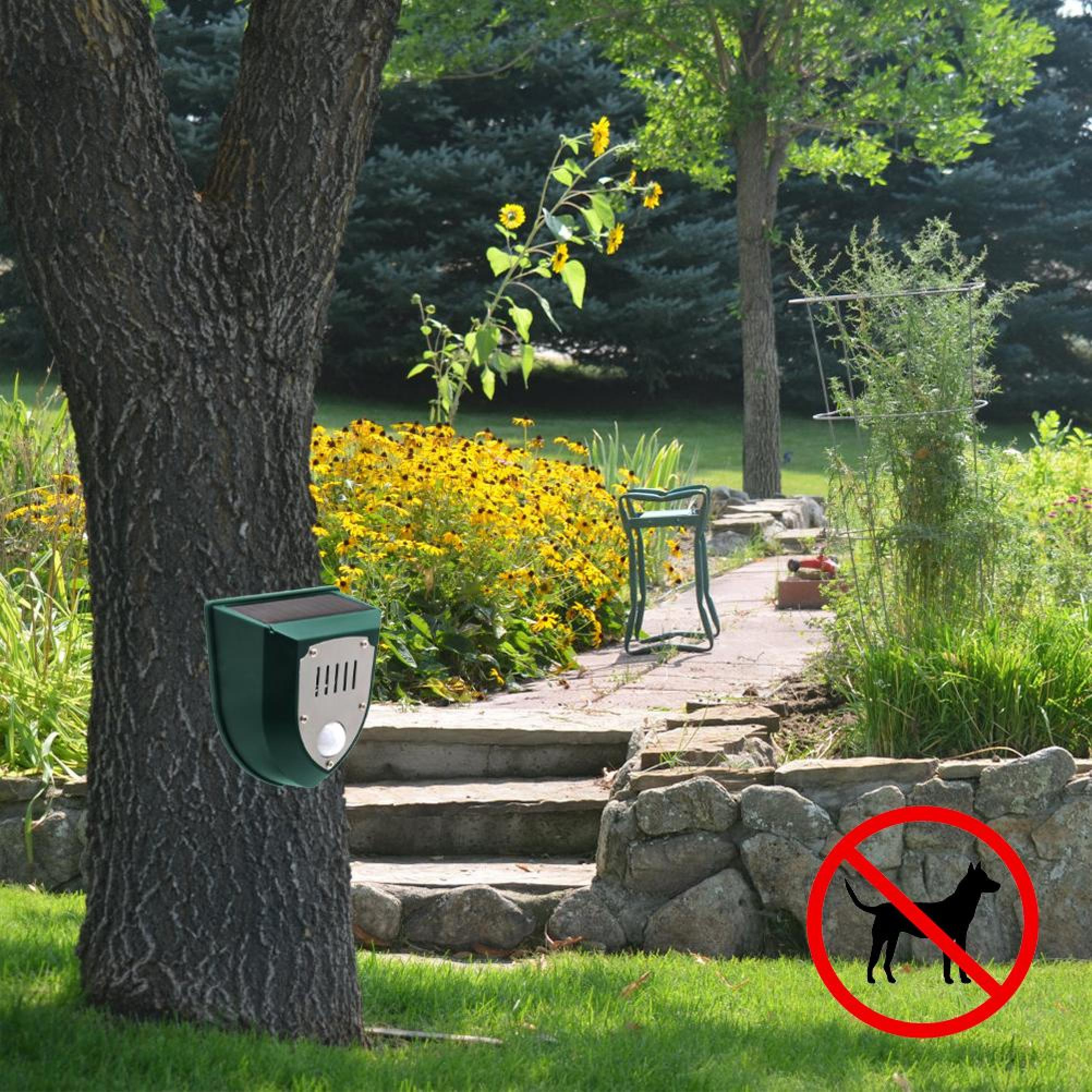 Grünes Solar-Tiervertreibergerät an Baum, Blumen und Verbotsschild für Hunde.