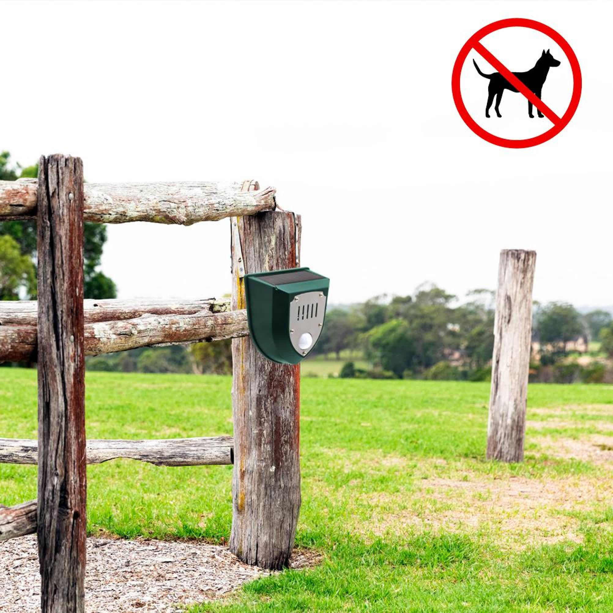 Ein grünes Gerät mit Solarpanel an einem Holzzaun. Ein Verbotsschild für Hunde oben rechts.