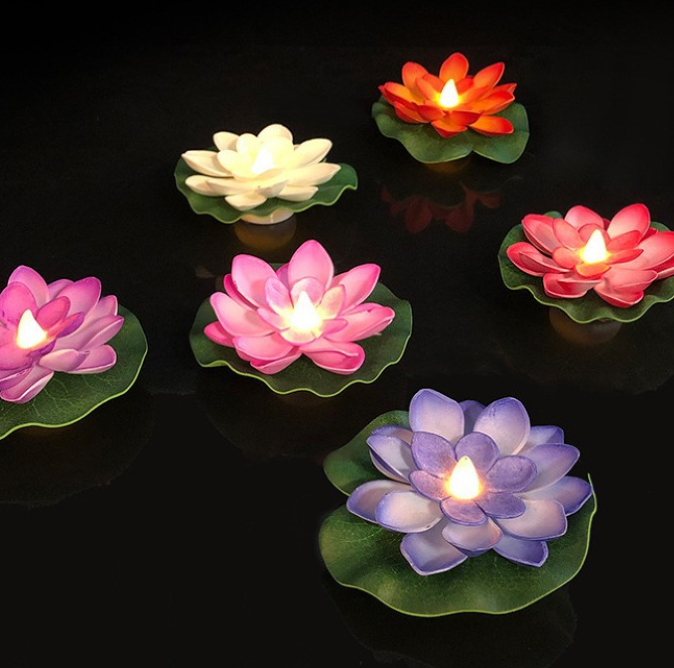Sechs leuchtende Lotusblumen-Lichter in verschiedenen Farben auf schwarzem Grund.