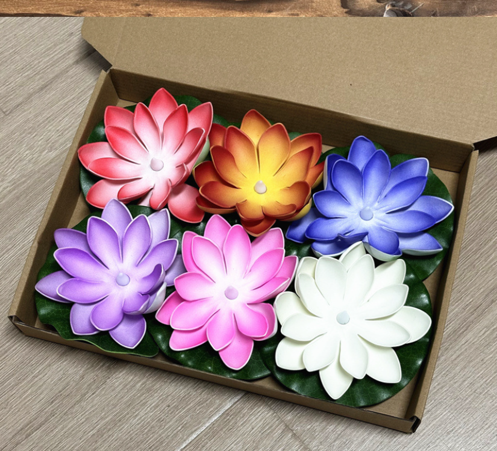 Sechs bunte Lotusblumen in einer Schachtel: rot, orange, blau, lila, pink und weiß.