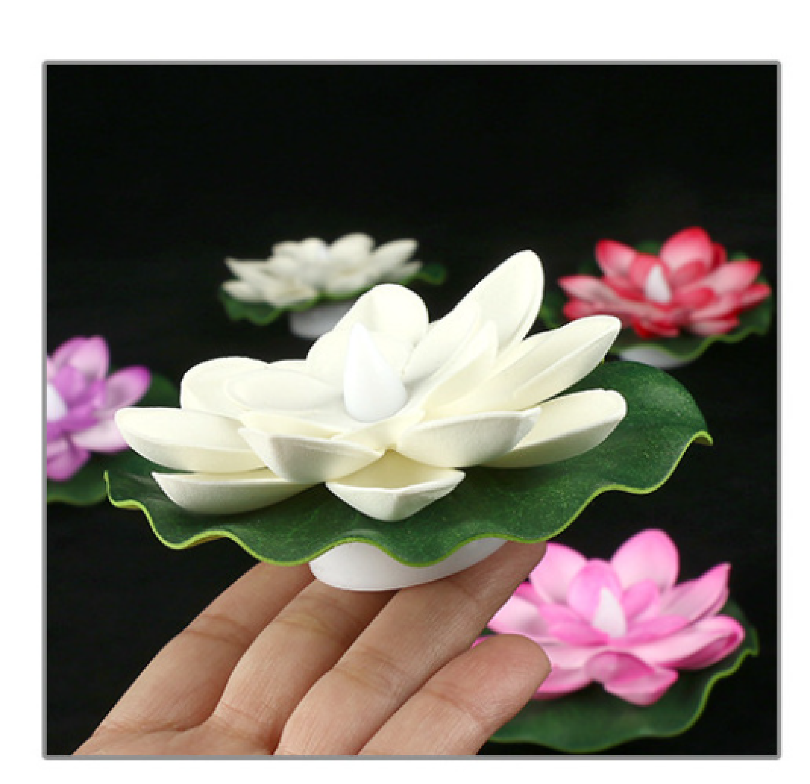 Eine Hand hält eine weiße Lotusblume mit grünen Blättern. Im Hintergrund sind weitere Lotusblumen.