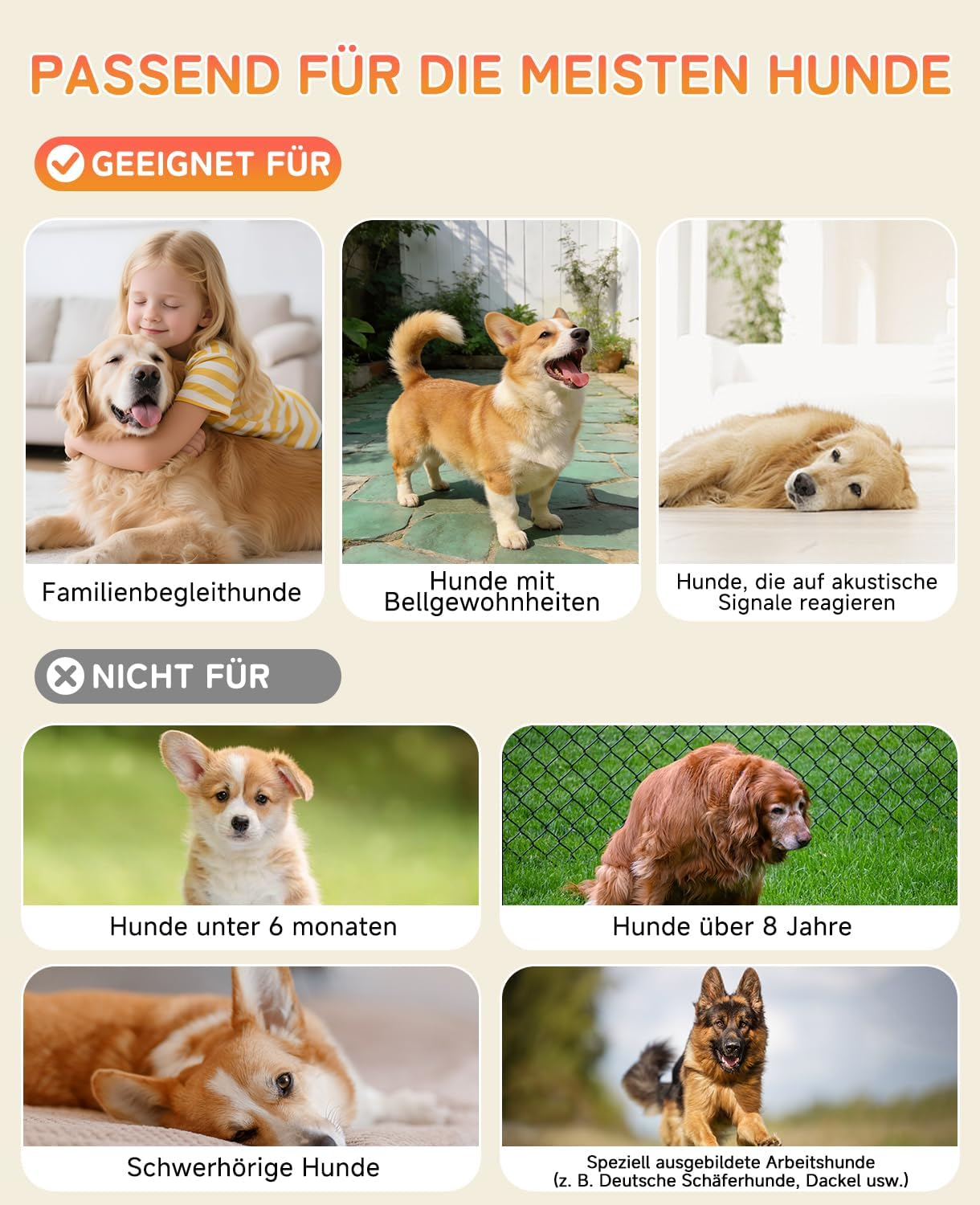 Hunde, geeignet für Familien, Hunde mit Bellgewohnheiten, Hunde, die auf Signale reagieren.