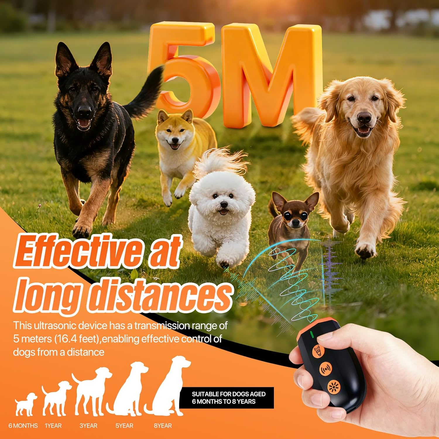 Schäferhund, Shiba Inu, Bichon, Chihuahua, Golden Retriever rennen mit "5M" Text.