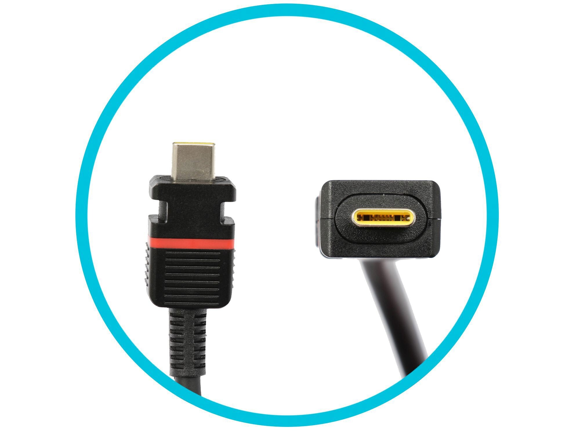 Zwei schwarze Kabelstecker mit goldenen Kontakten, von einem blauen Kreis umrahmt.