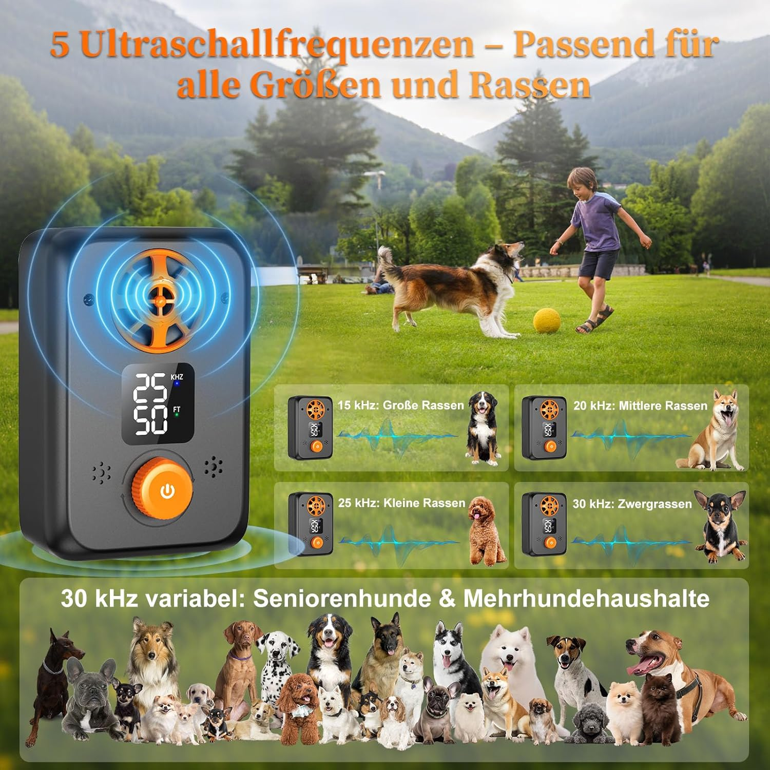 Ein Gerät mit Anzeige und Knöpfen, daneben Hunde und ein Kind im Park.