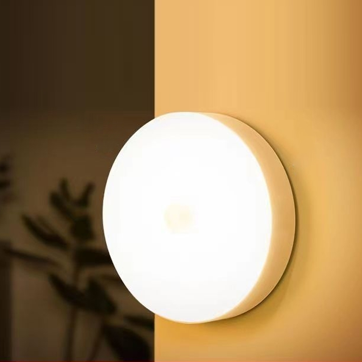 Eine runde weiße Lampe leuchtet an einer gelben Wand. Im Hintergrund sind Pflanzen.