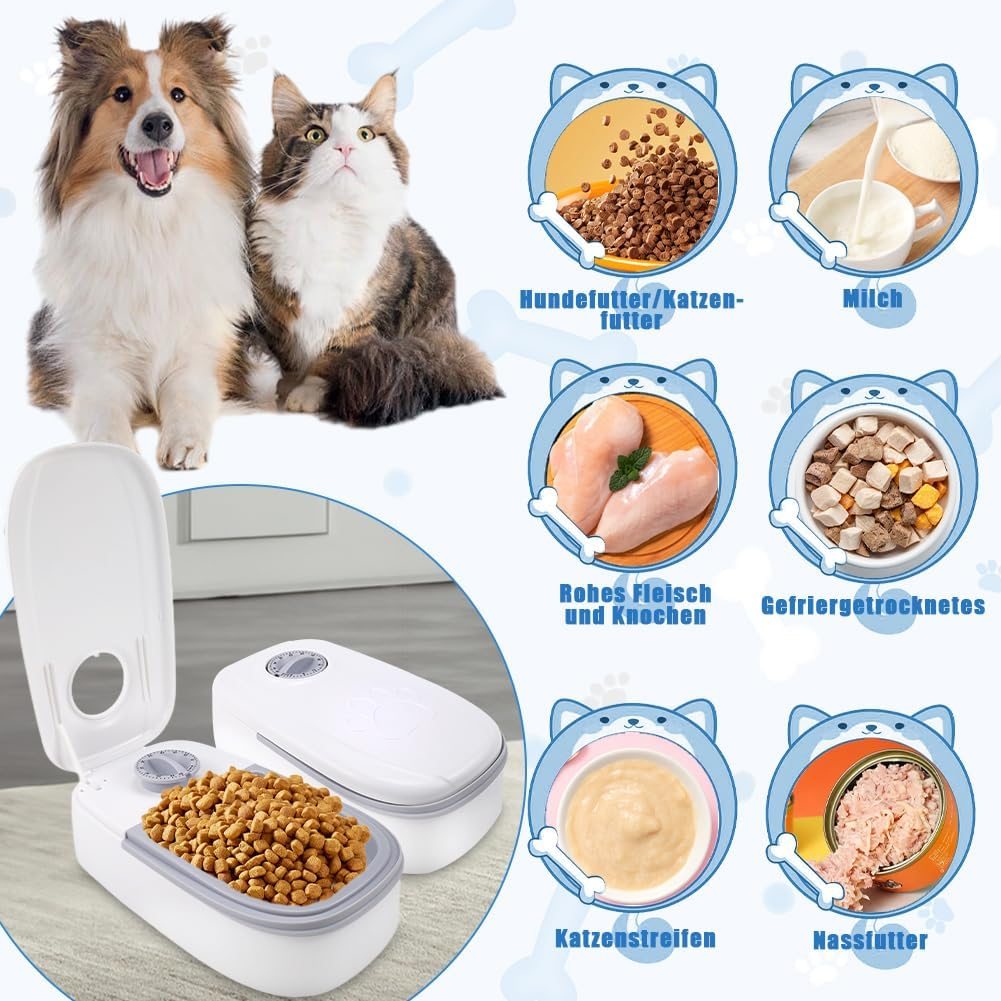Ein Hund und eine Katze sitzen neben einem geöffneten Futterspender mit Kibble und verschiedenen Futtersorten.