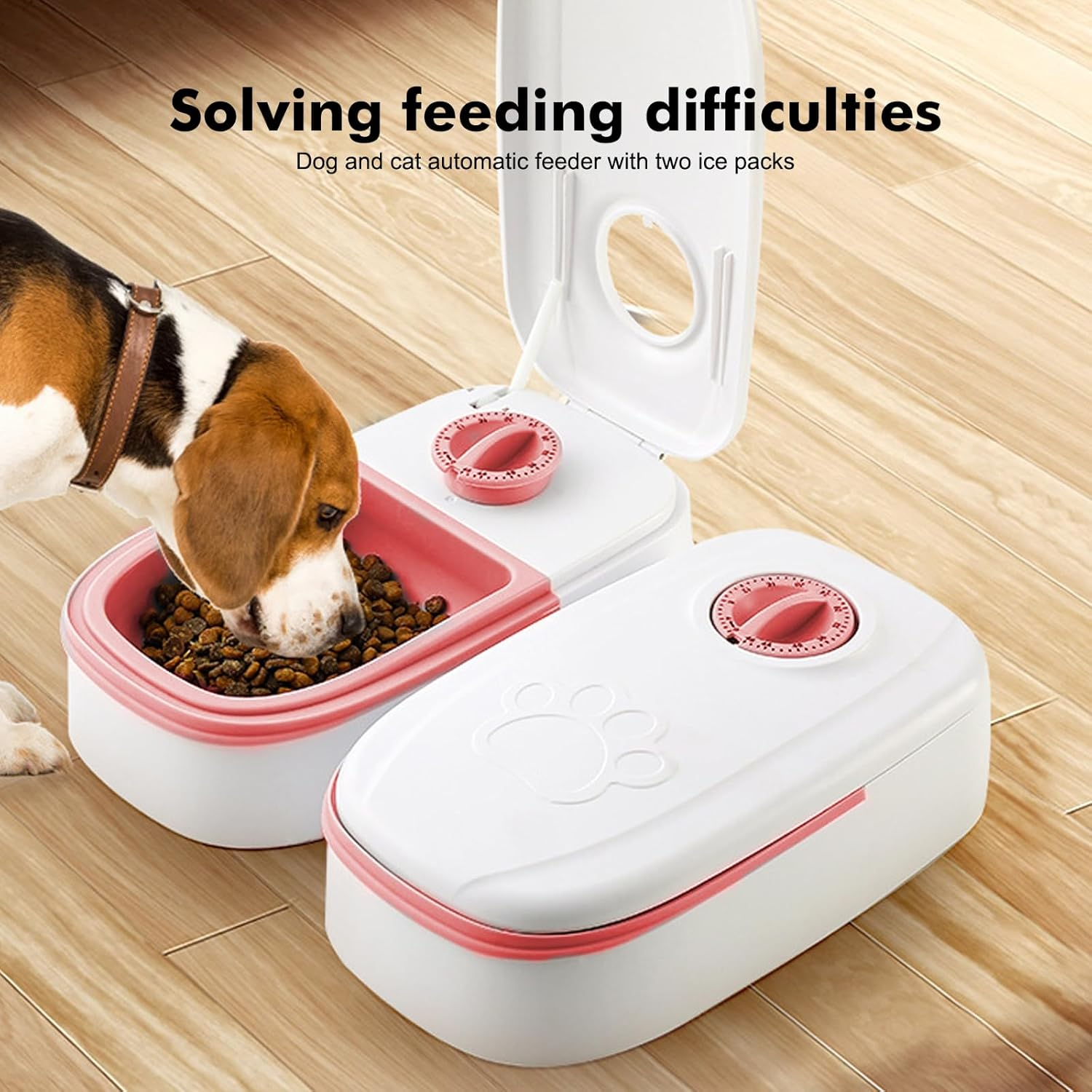 Ein Beagle frisst aus einem Futternapf neben einem weißen automatischen Tierfutterspender mit Timer.