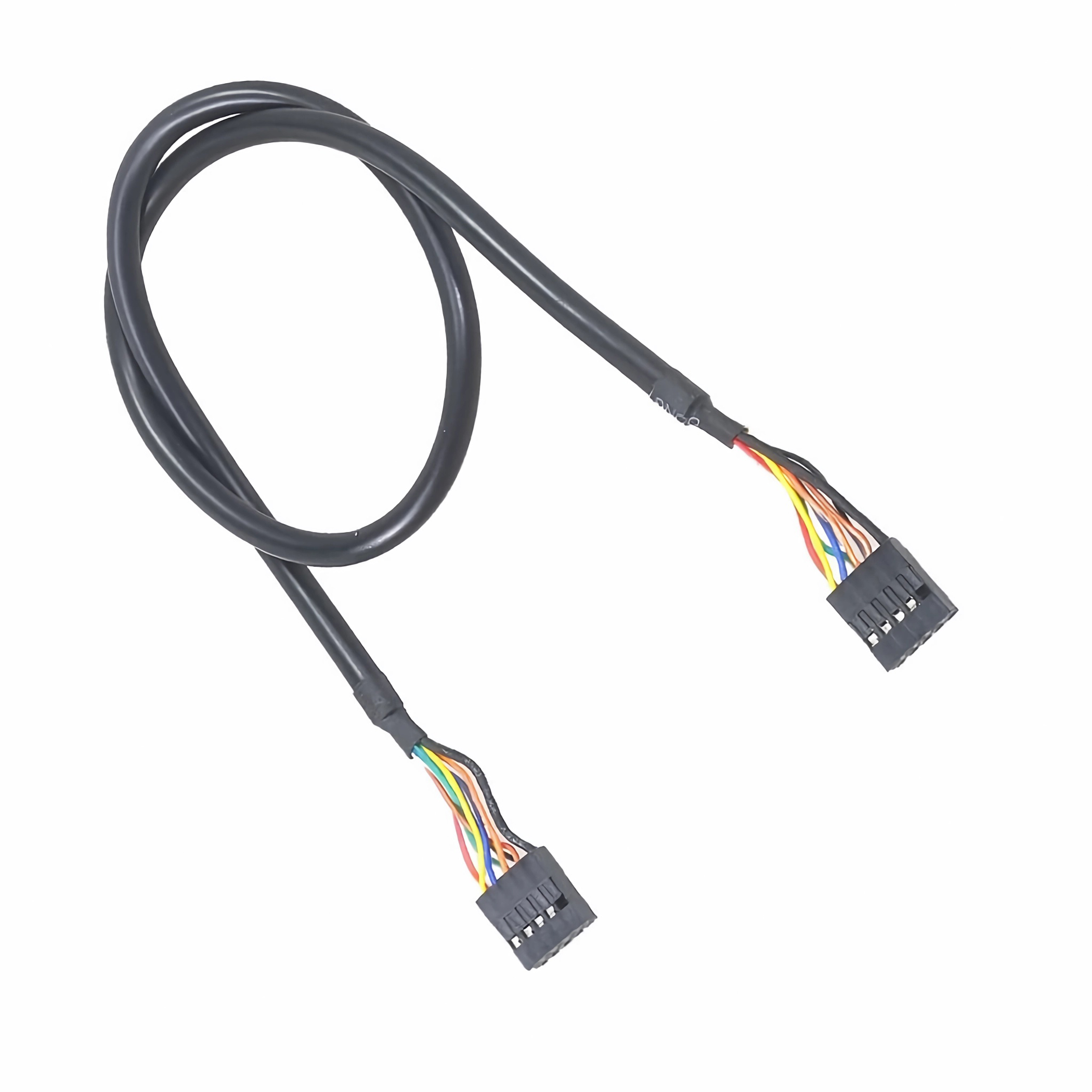 Ein schwarzes Kabel mit bunten Drähten und schwarzen Steckern an beiden Enden.