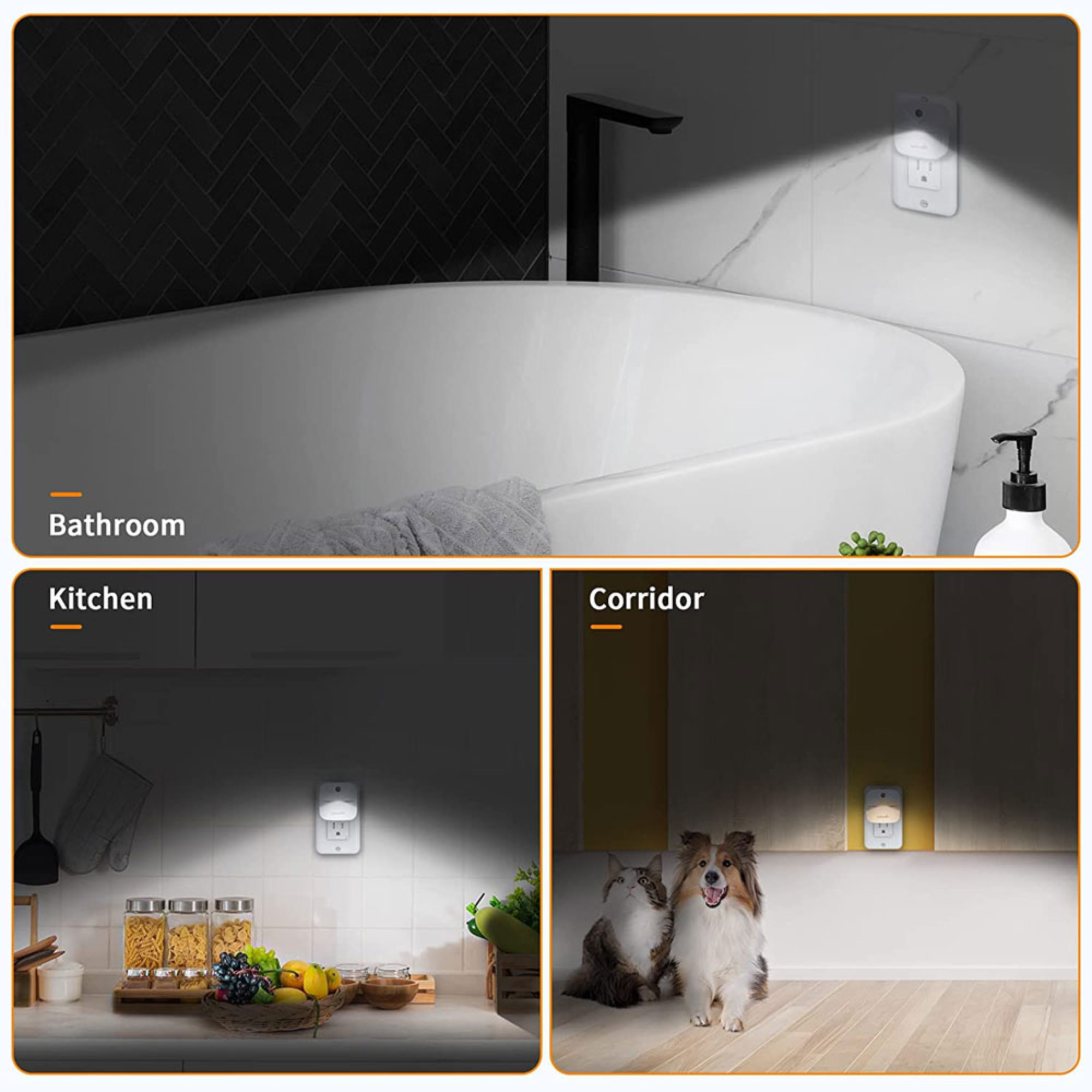 Ein Nachtlicht in einem Badezimmer, einer Küche und einem Korridor mit einem Hund und einer Katze.