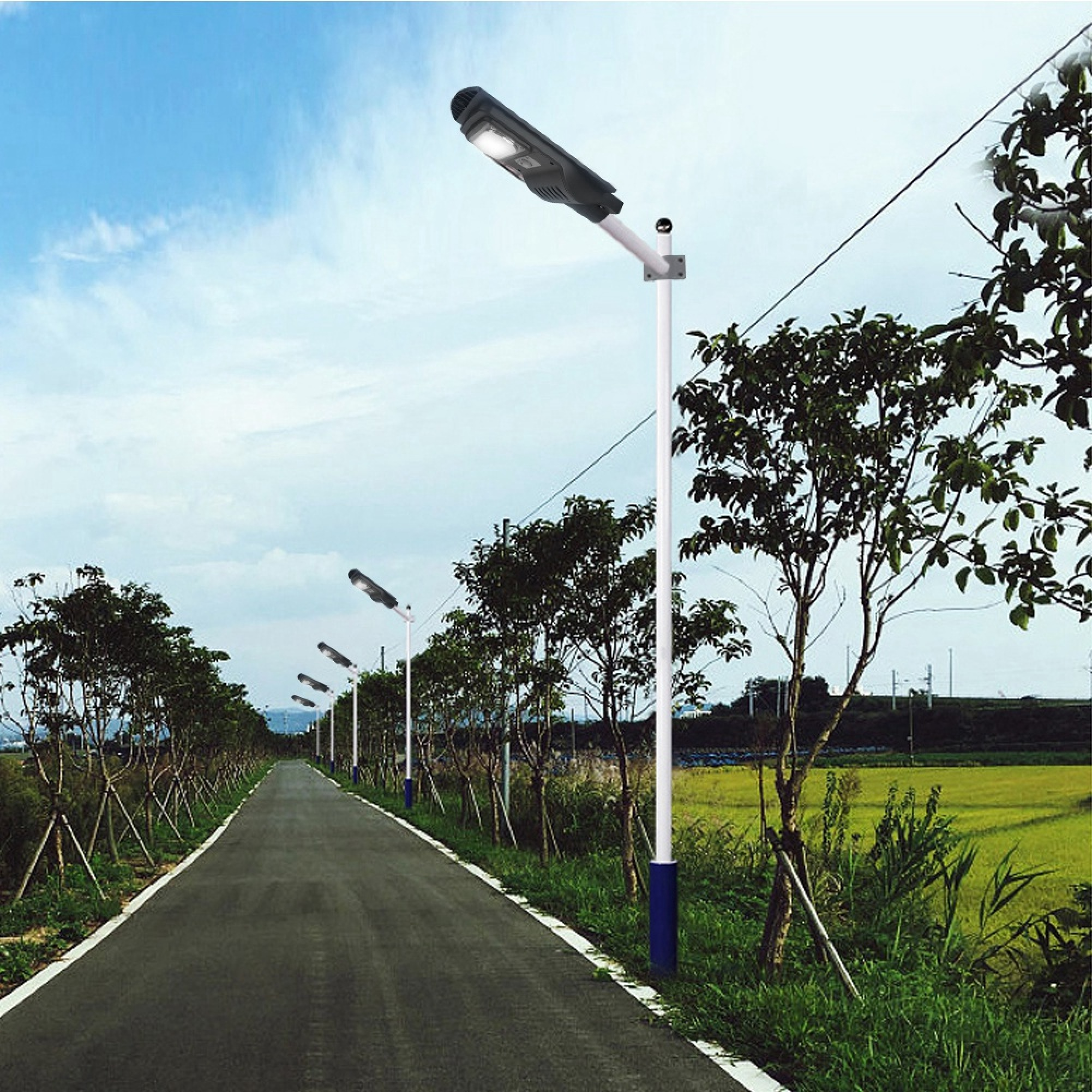 Eine leere Straße mit Bäumen und Laternen auf beiden Seiten unter einem blauen Himmel.