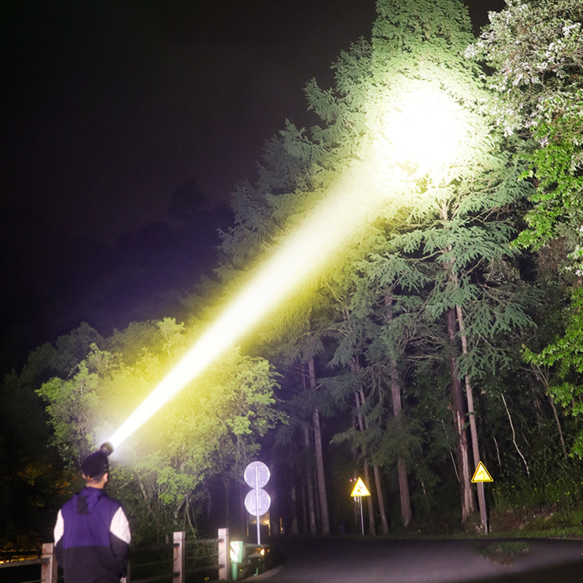 Mann im Dunkeln mit Stirnlampe leuchtet auf Bäume; Straße mit Schildern.