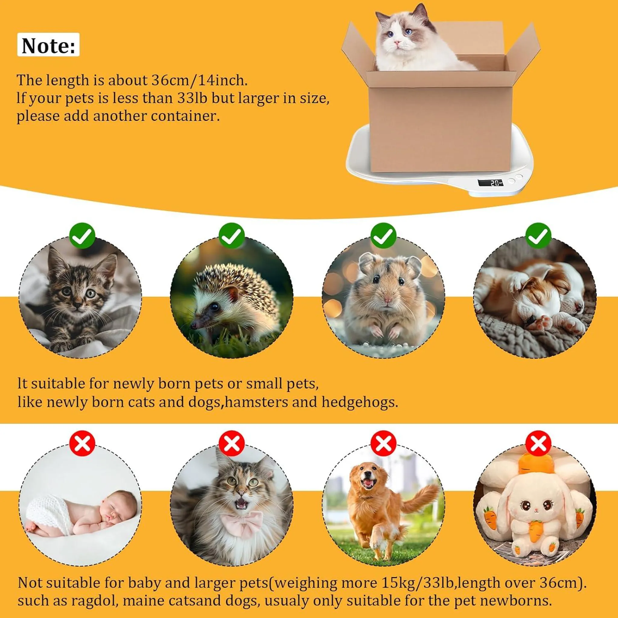Ein Kätzchen, ein Igel, ein Hamster und zwei Welpen sind zu sehen.