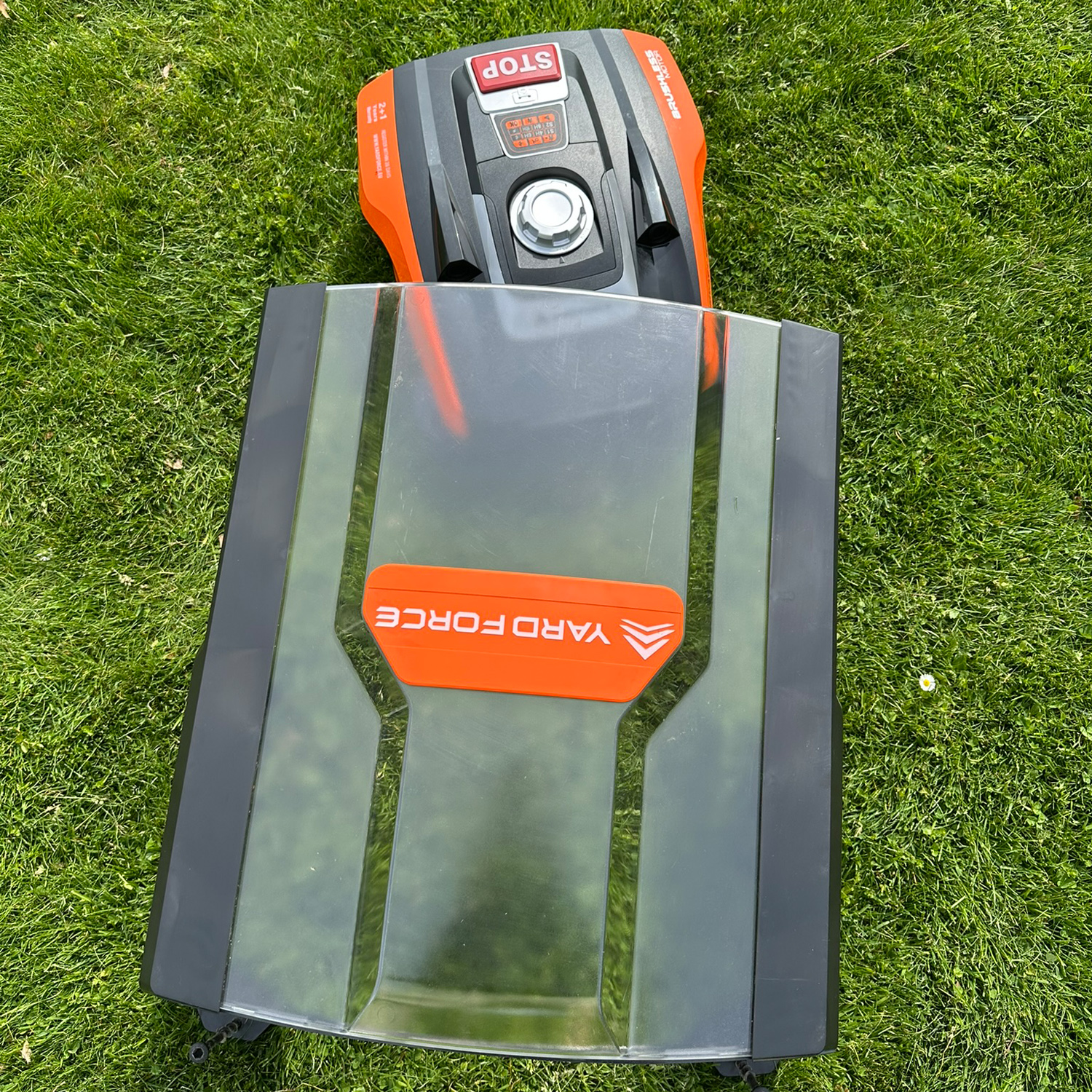 Ein orange-schwarzer Rasenmähroboter mit transparenter Abdeckung auf Gras.