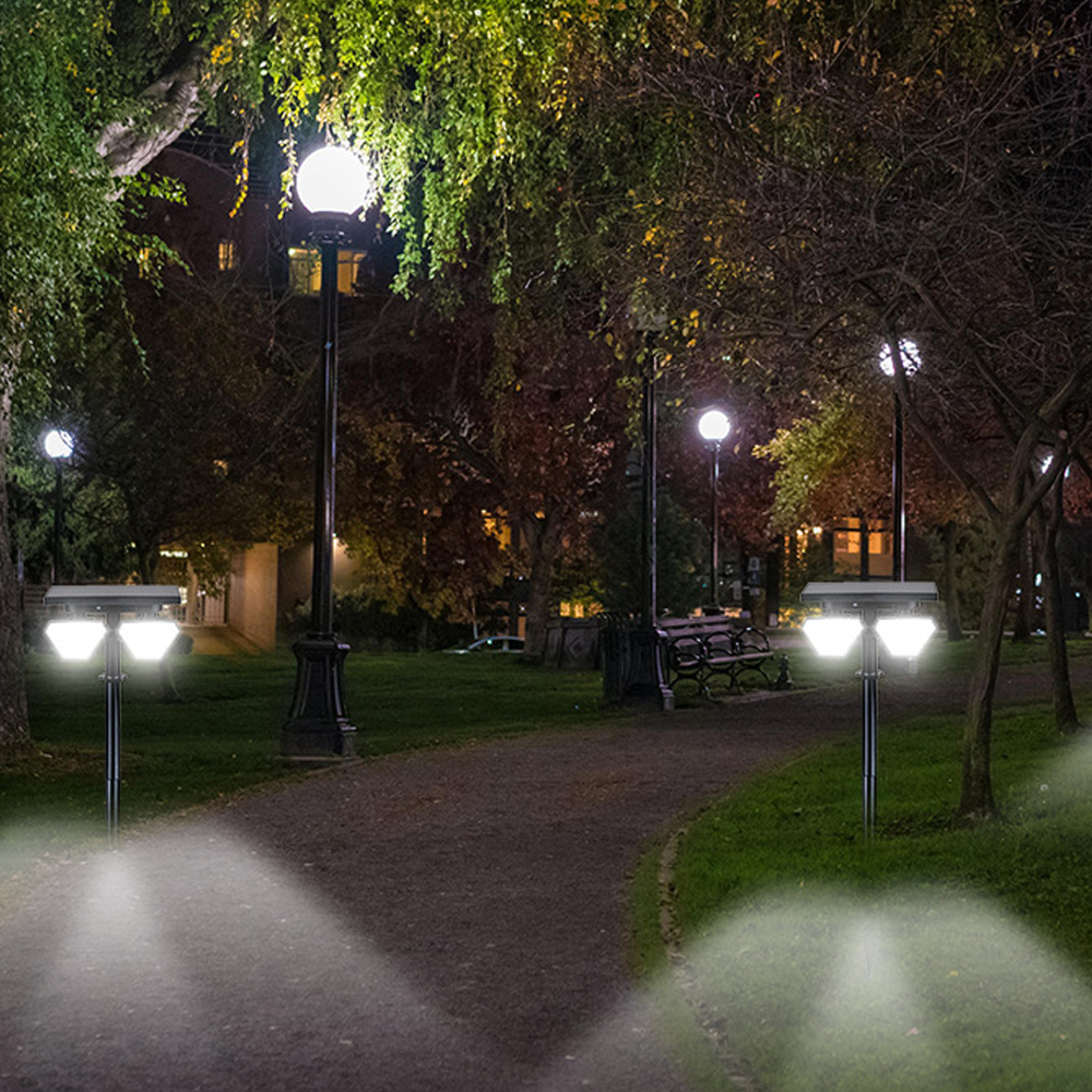 Ein Parkweg bei Nacht mit mehreren Laternen, Bänken und Bäumen.