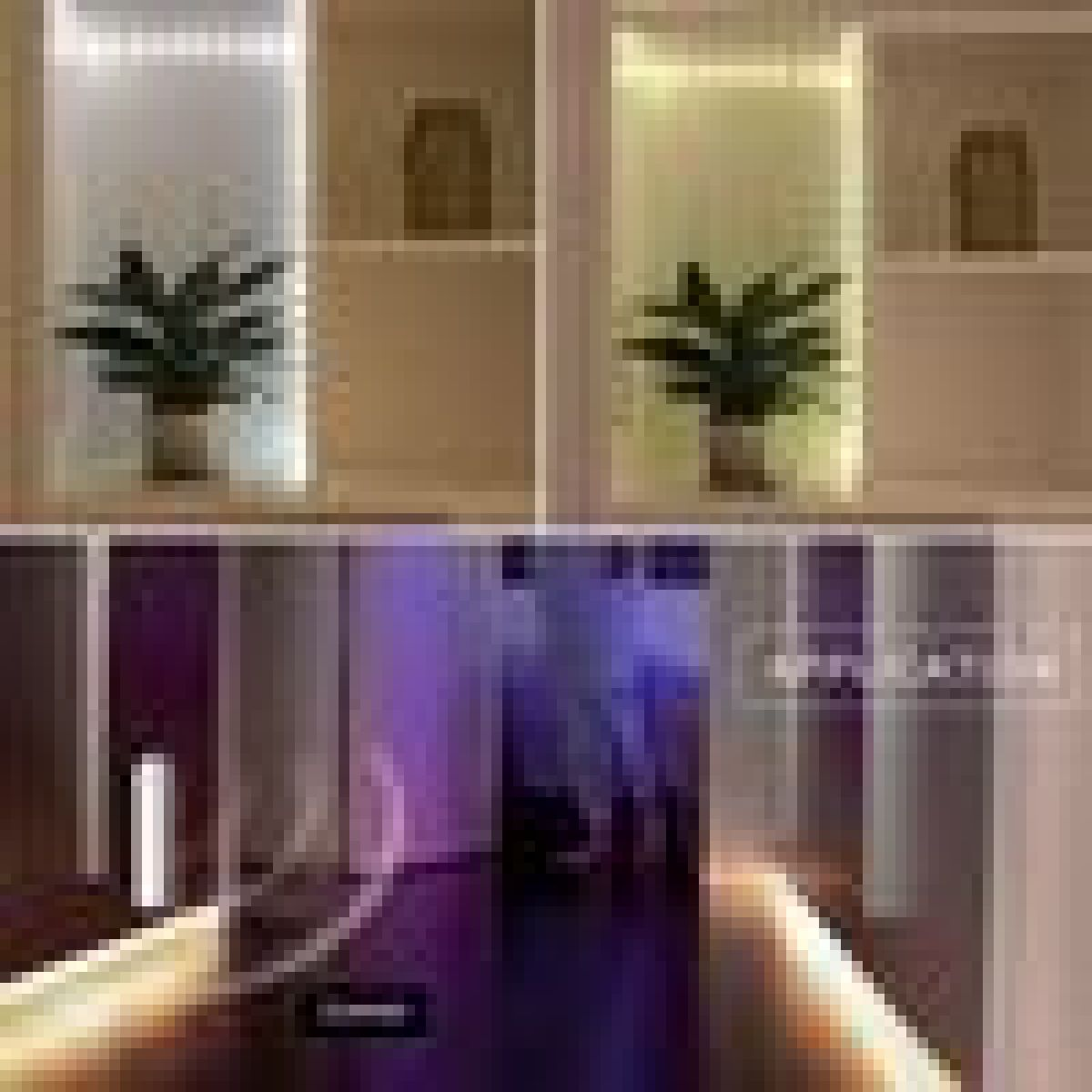 Moderne Innenräume mit Pflanzen und LED-Beleuchtung im Flur.