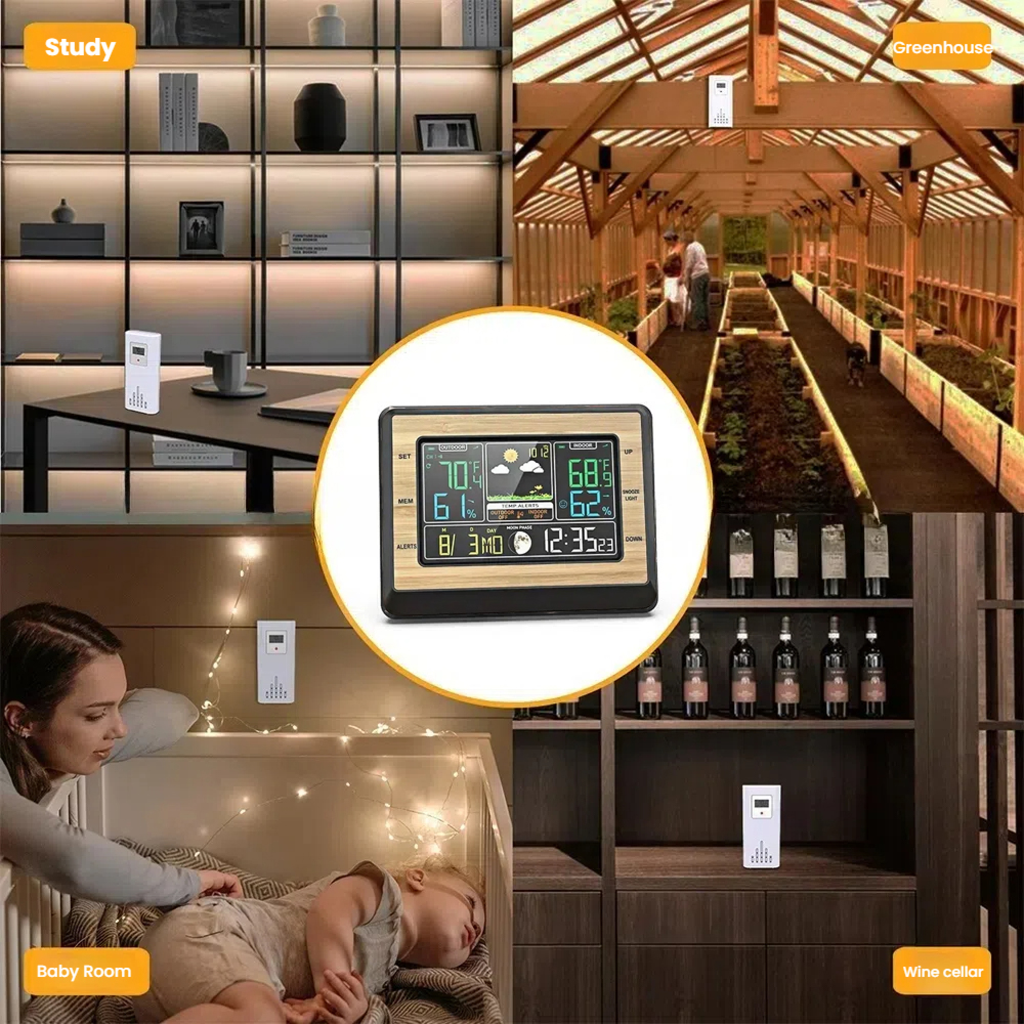 Eine Collage aus vier Szenen: Studie, Gewächshaus, Babyzimmer und Weinkeller.