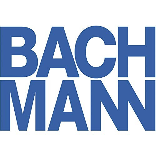 Grandi lettere blu compongono le parole BACH e MANN.