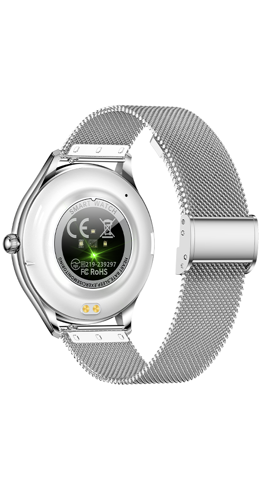 Rückansicht einer silbernen Smartwatch mit Mesh-Armband. Bietet Herzfrequenz- und Schlaf-Tracking.