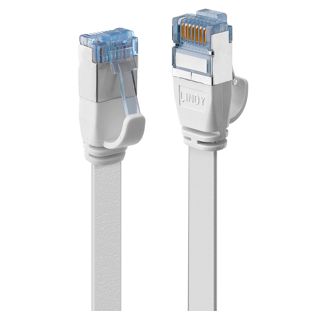 Due cavi Ethernet bianchi con connettori blu su sfondo bianco.