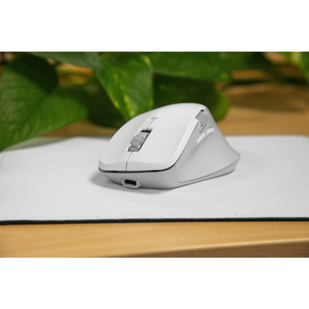 Mouse bianco per computer su tappetino bianco con foglie verdi sullo sfondo.
