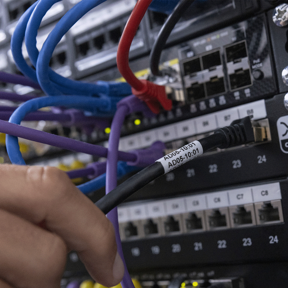 Eine Hand hält ein schwarzes Netzwerkkabel in der Nähe eines Server-Racks mit blauen, violetten und roten Kabeln.