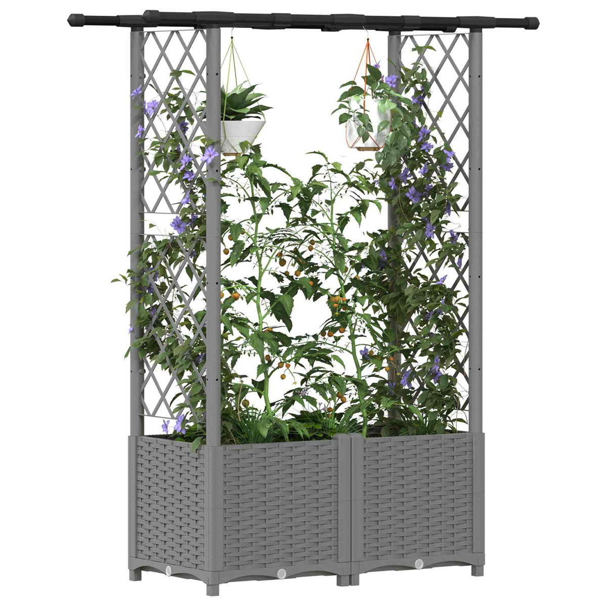 Ein grauer Pflanzer mit Spalier hält Tomatenpflanzen und blühende Ranken.