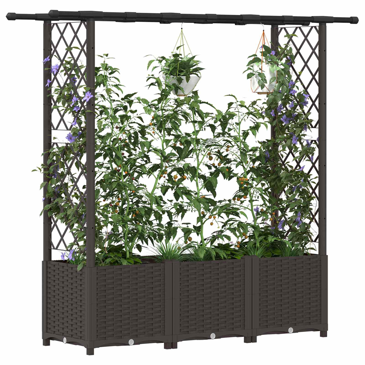 Dunkelbrauner Pflanzkasten mit Rankgitter und Pflanzen, darunter Tomaten und blaue Blüten.