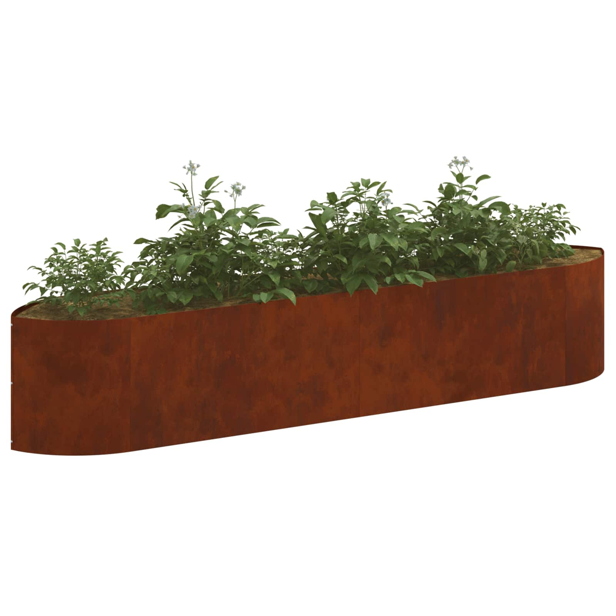 Rostiger Metall-Pflanzkasten mit grünen Pflanzen und weißen Blüten.