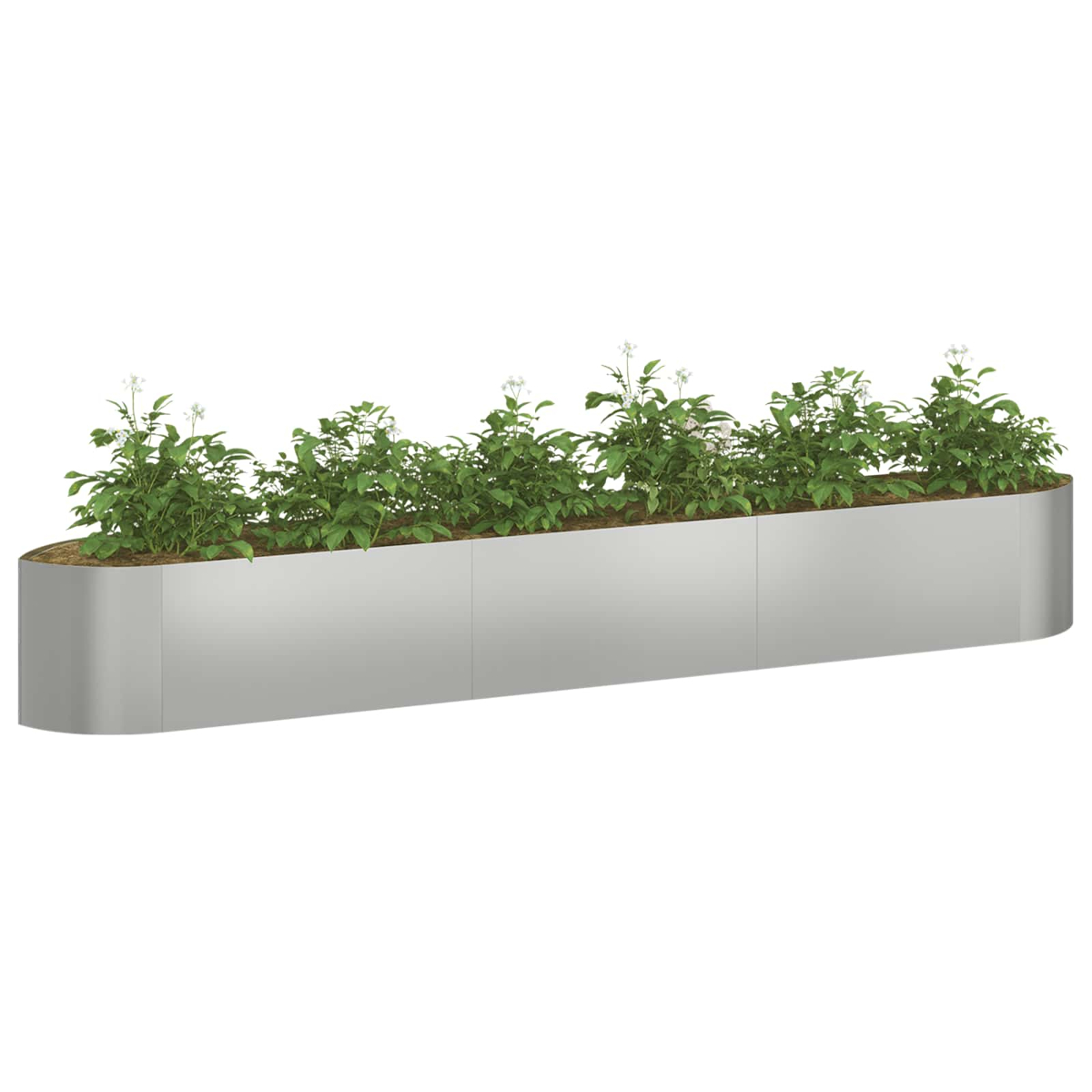 Ein langer, silberner Pflanzkasten mit grünen Pflanzen und weißen Blüten.
