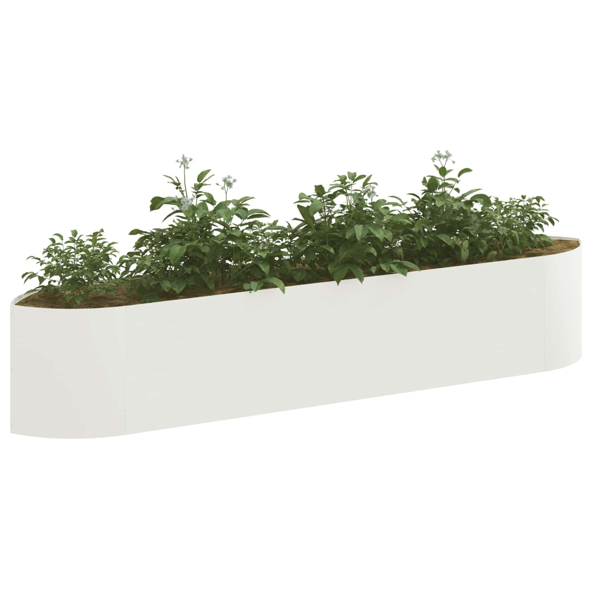 Ein weißer, geschwungener Pflanzer mit grünen Pflanzen und kleinen weißen Blüten.