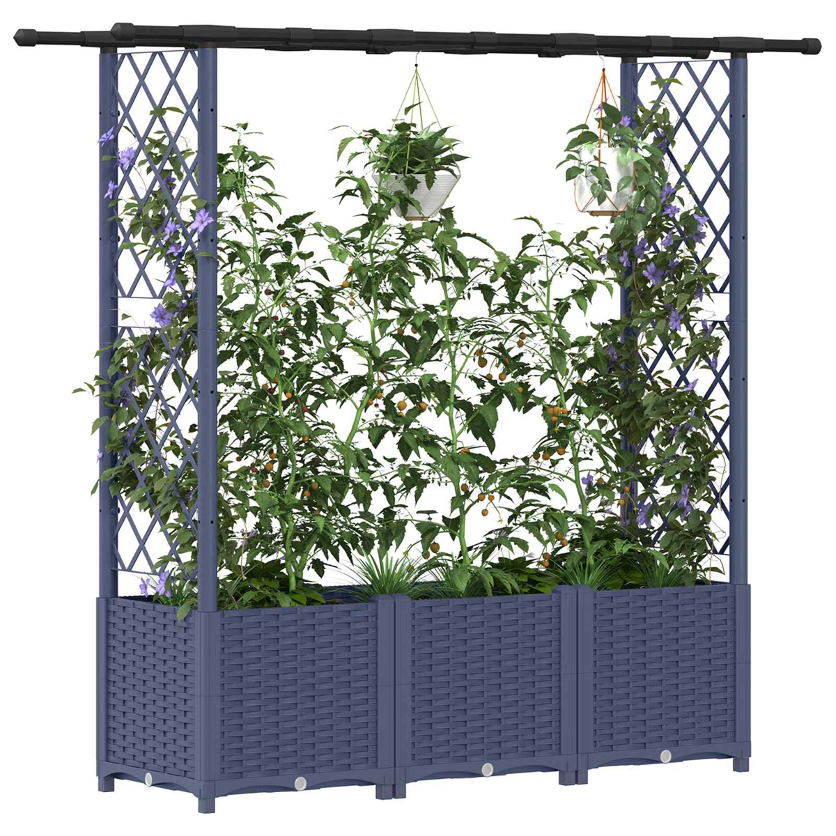 Ein blauer Pflanztrog mit Rankgittern, an denen Pflanzen mit lila Blüten und Beeren wachsen.