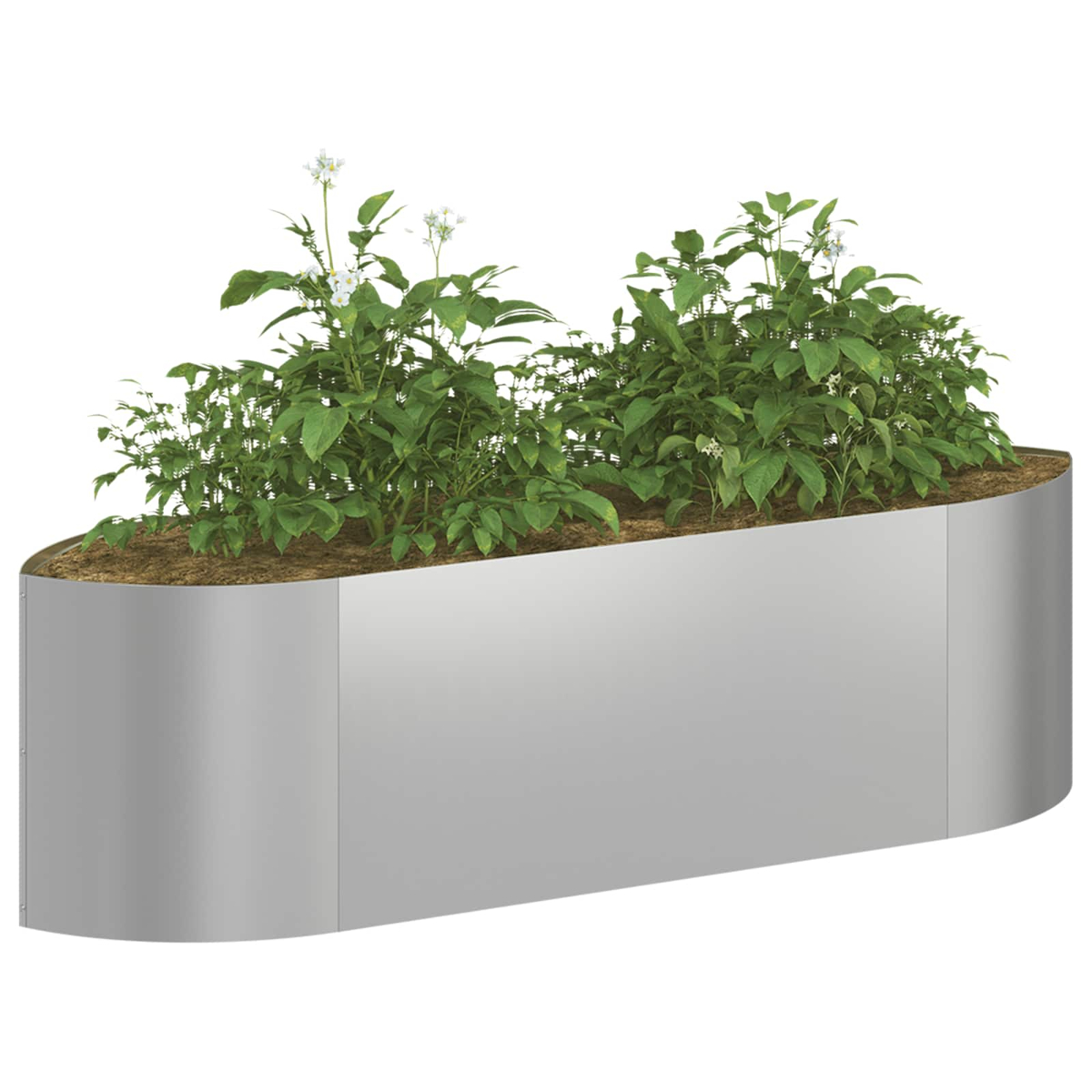 Ein rechteckiger Hochbeet aus Metall mit grünen Pflanzen und weißen Blüten.
