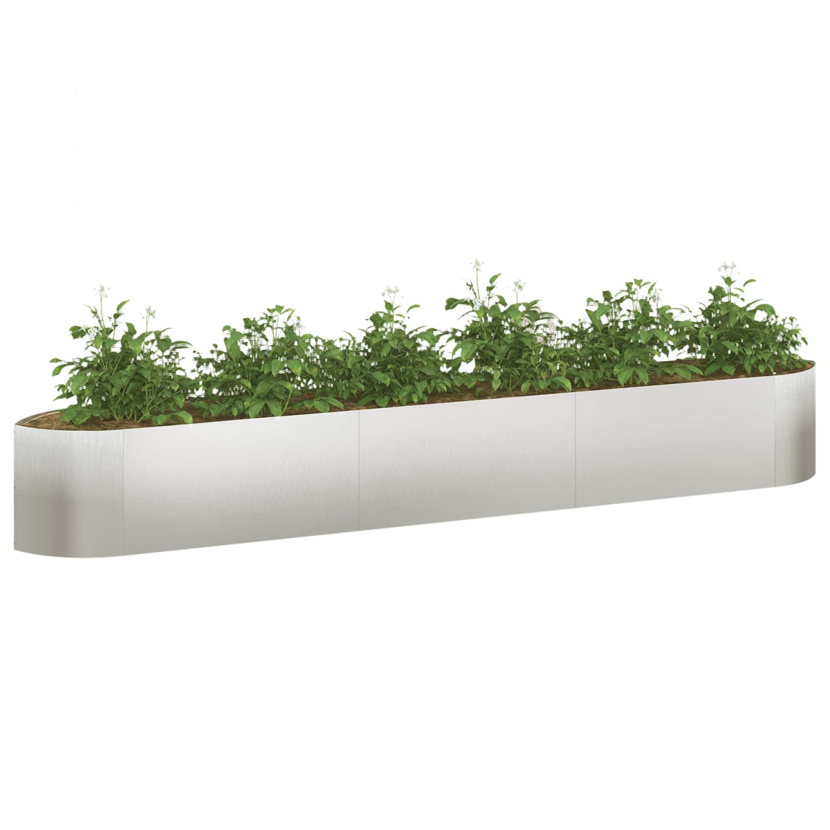 Ein langer, weißer Pflanzer mit grünen Pflanzen und weißen Blüten.