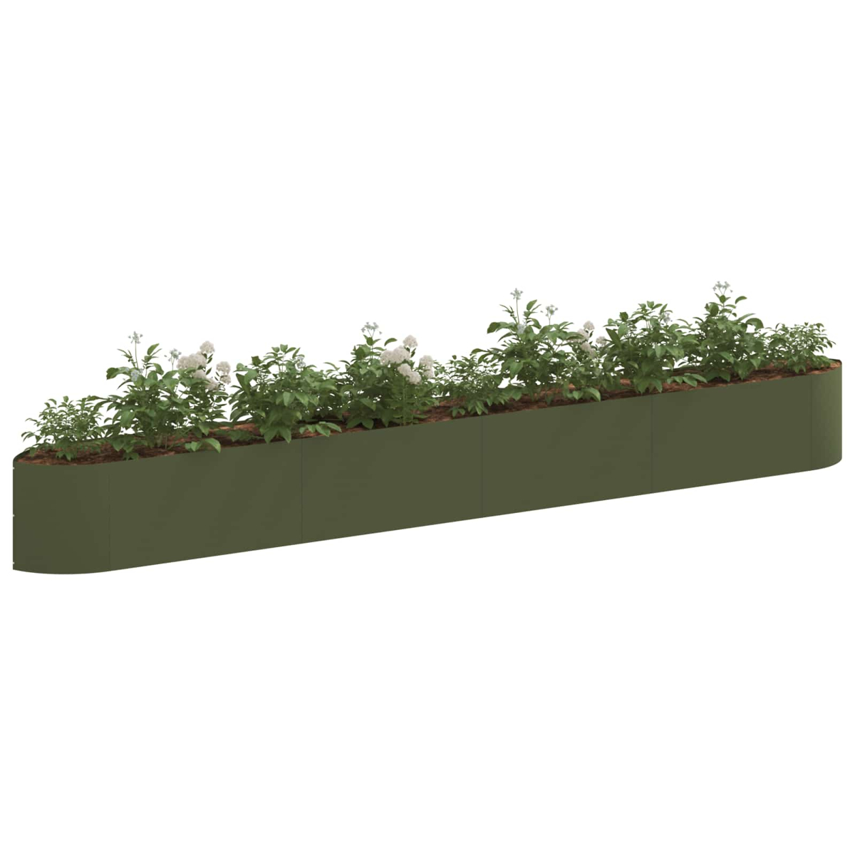 Ein langer, geschwungener, olivgrüner Pflanzkasten mit grünen Blattpflanzen und kleinen weißen Blüten.