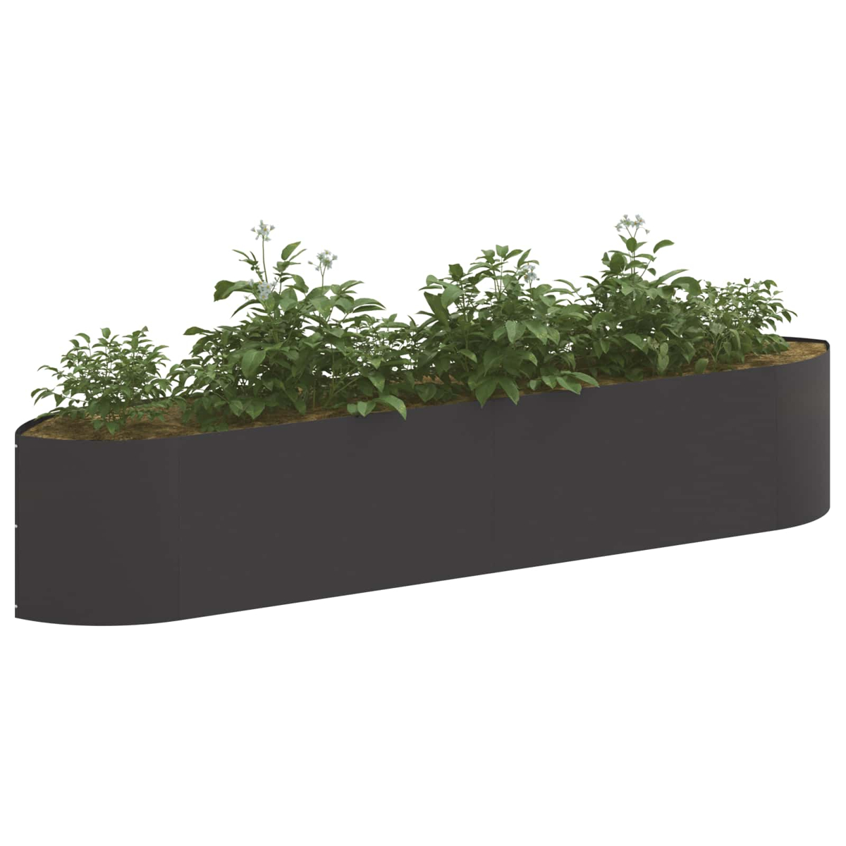 VIDAXL 8011719 Hochbeet Schwarz