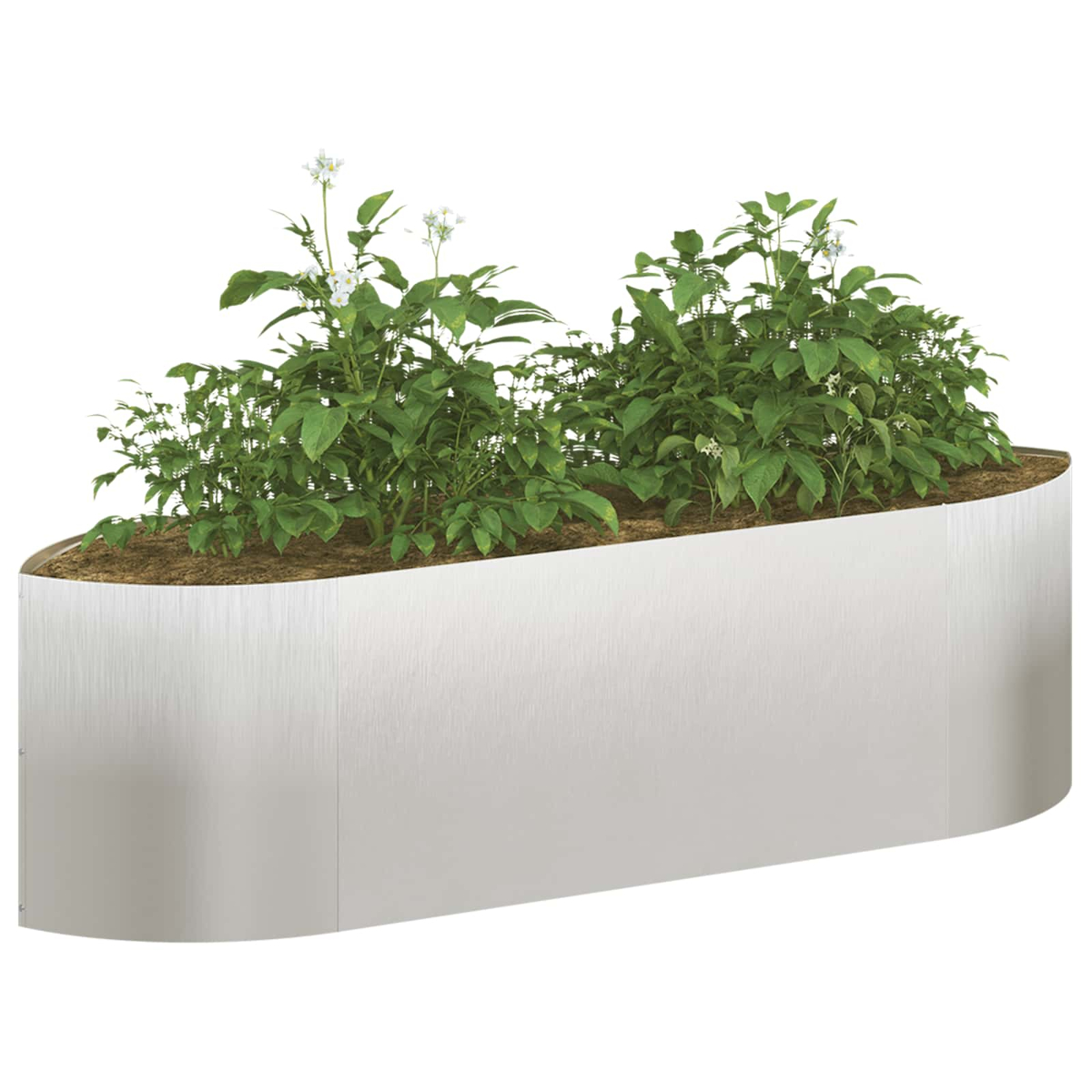 Ein gebogener Hochbeet mit grünen Pflanzen und weißen Blüten, gefüllt mit Erde.
