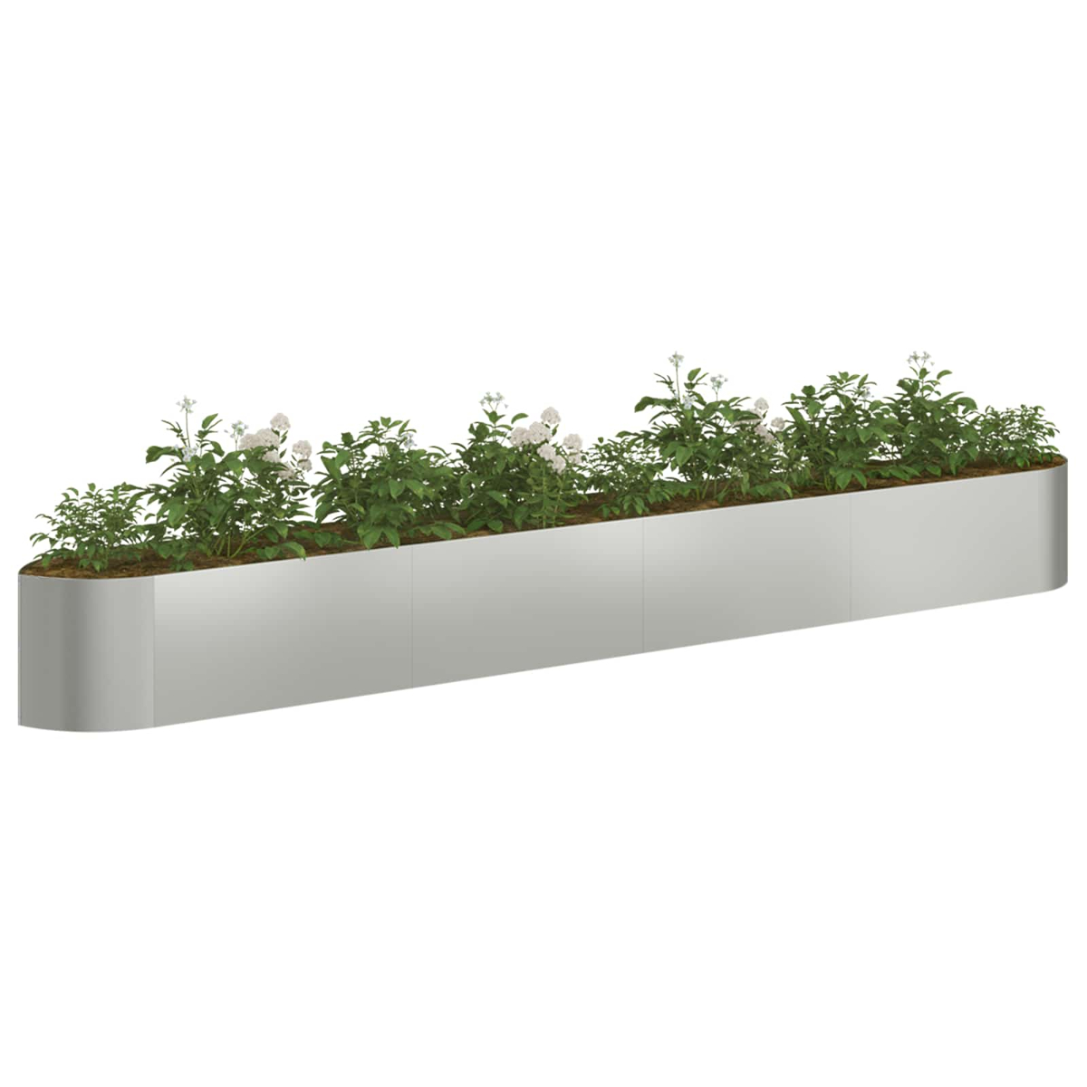 Lange, graue Pflanzgefäße mit grünen Pflanzen und weißen Blüten, auf weißem Hintergrund.
