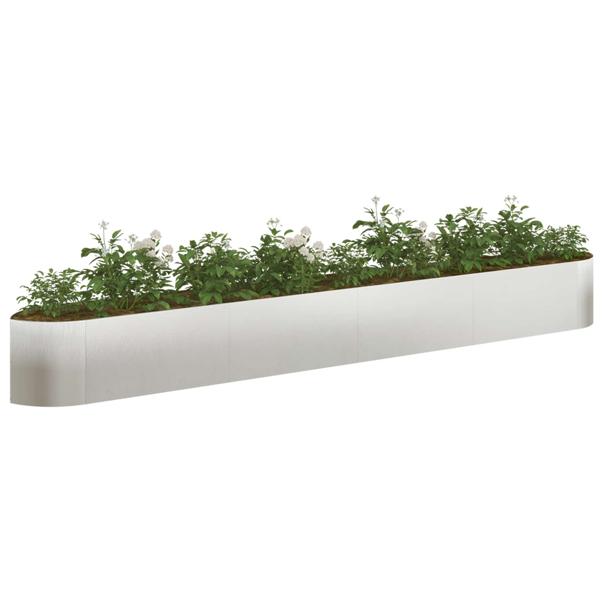 Ein langer, weißer Pflanzer mit grünen Pflanzen und weißen Blüten auf weißem Hintergrund.