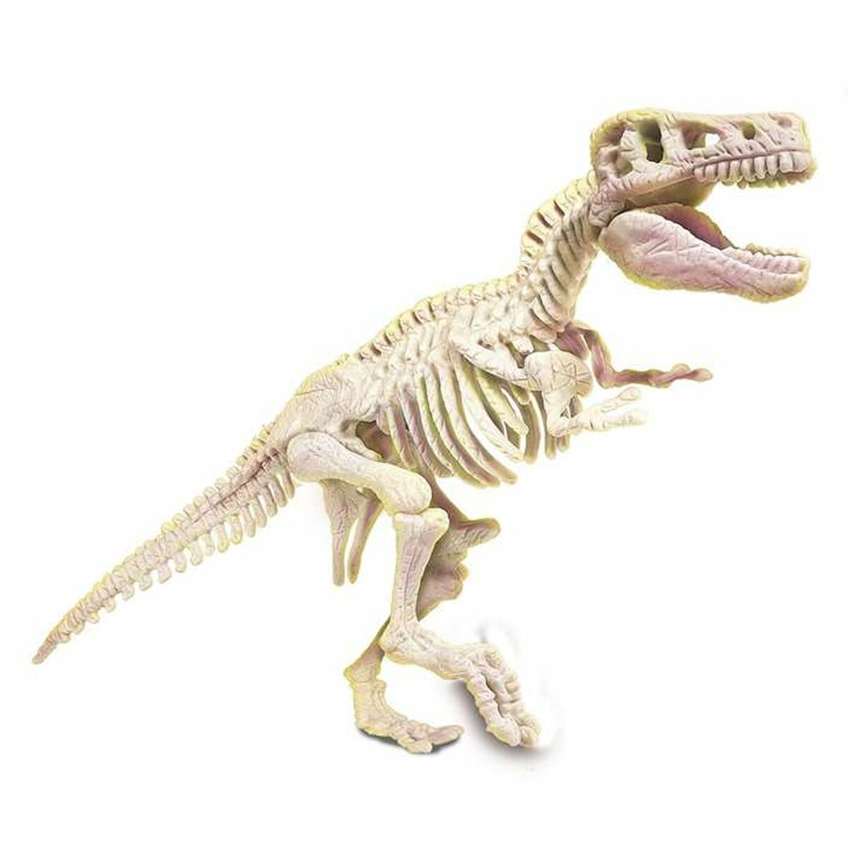 Un juguete de esqueleto de dinosaurio beige sobre fondo blanco.