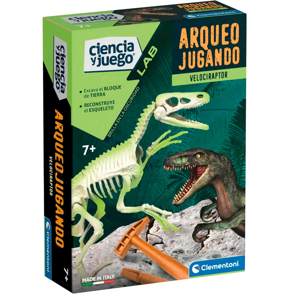 Embalaje de un kit de esqueleto de Velociraptor con herramientas e ilustraciones de dinosaurios.