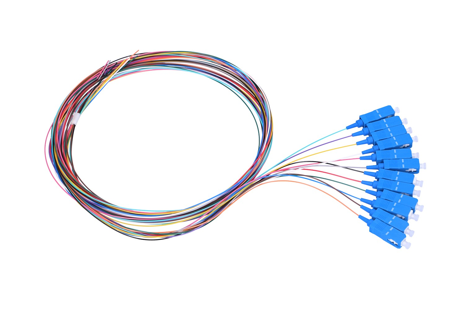 Un fascio di cavi in fibra ottica con fili colorati e connettori SC blu su bianco.