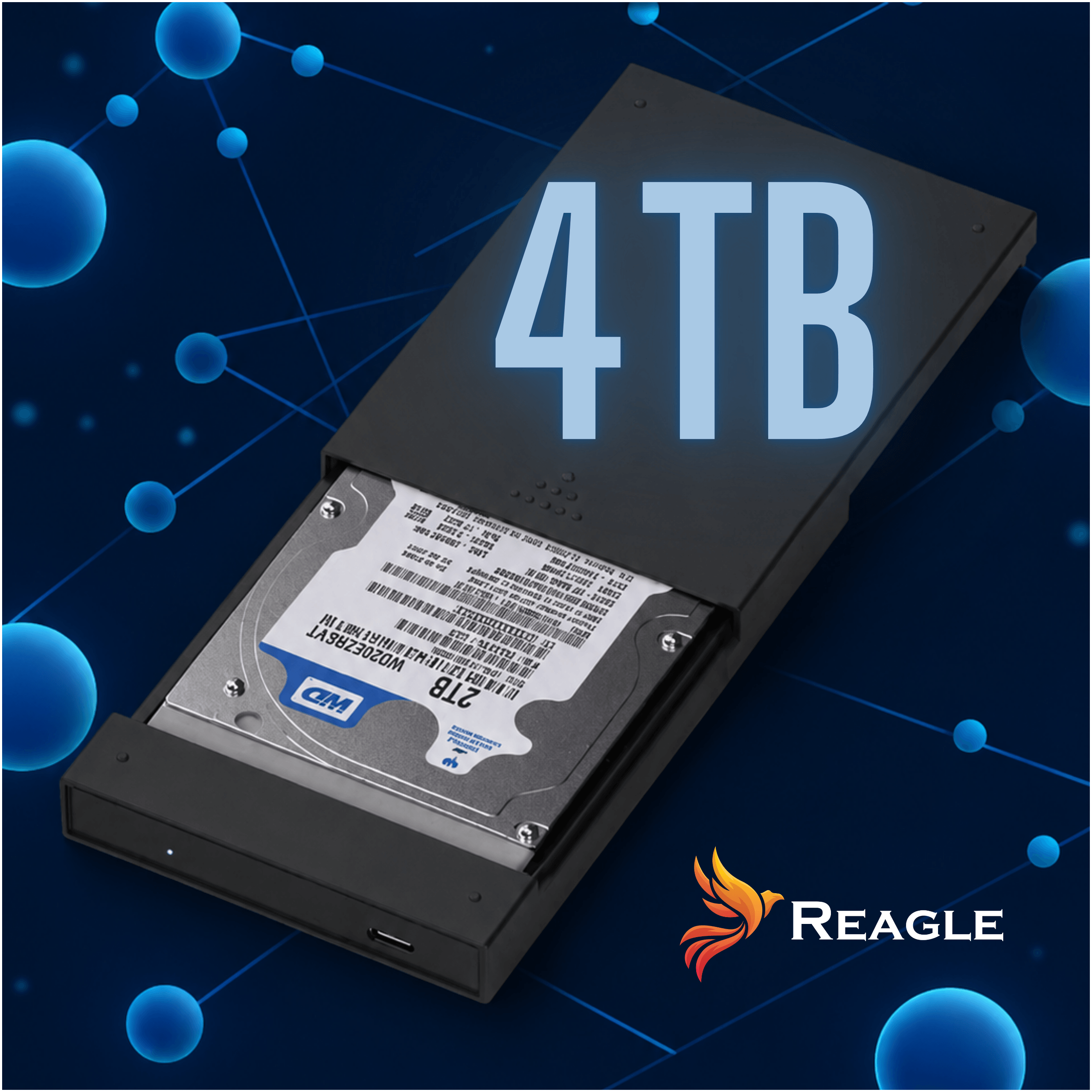 Un case da 4TB con un hard disk da 2TB e logo Reagle su sfondo blu.