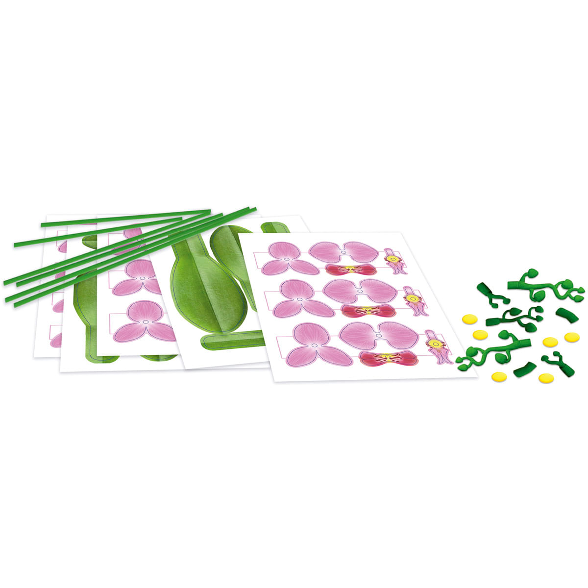 Piezas de manualidades para una orquídea: hojas, pétalos, tallos y bolitas amarillas.
