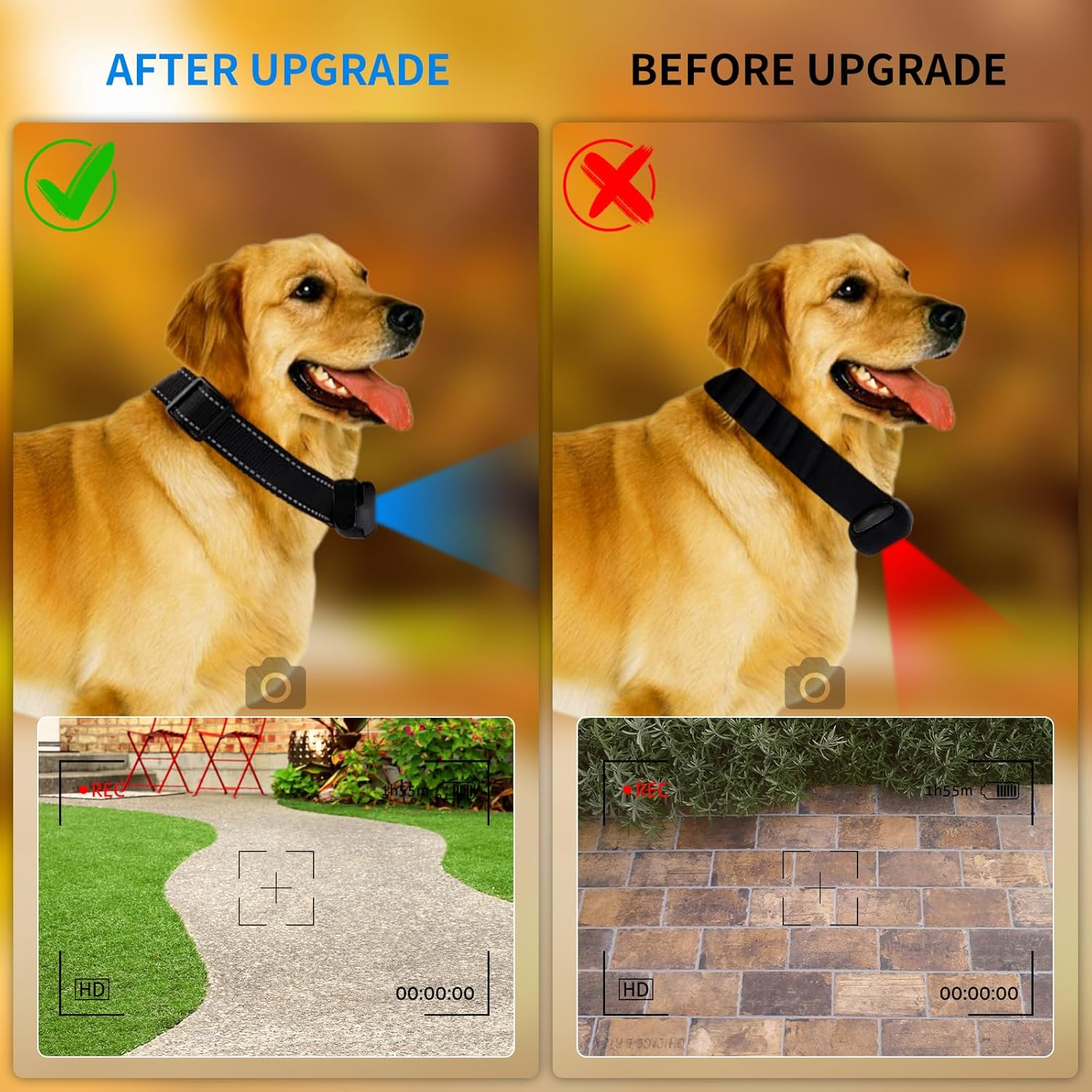 Vergleich von Hundehalsbandlichtern: blaues Licht nach Upgrade, rot davor. Hof vs. Ziegelweg.