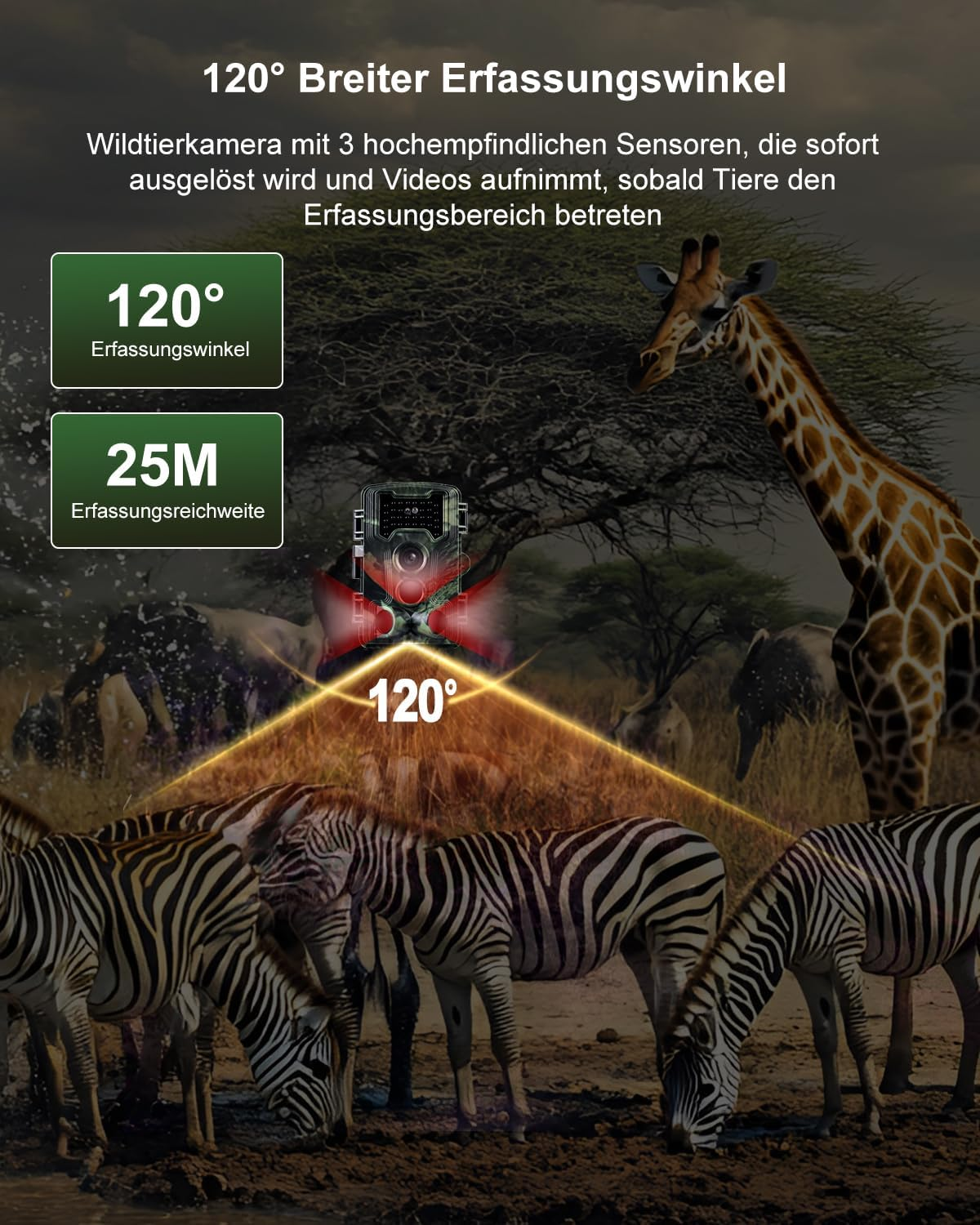 Wildkamera mit 120° Erfassungswinkel und 25M Reichweite. Zebras und Giraffen im Bild.
