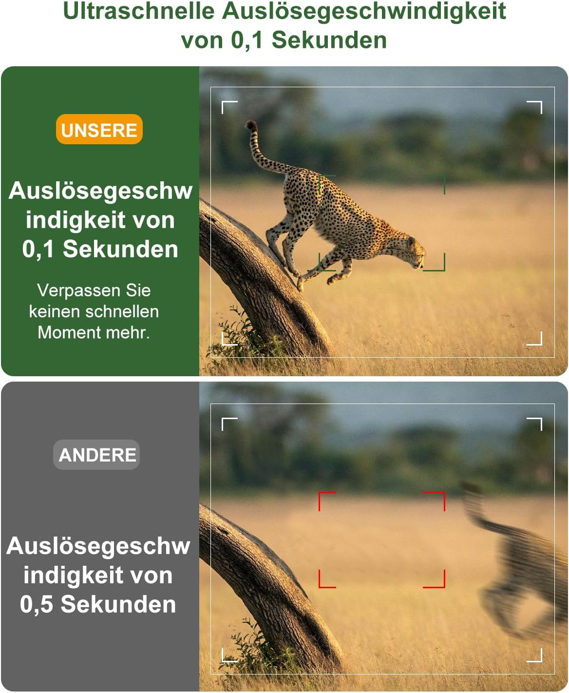 Ein Gepard springt über einen Baumstamm. Oben: Schnelle Auslösung. Unten: Langsame Auslösung.