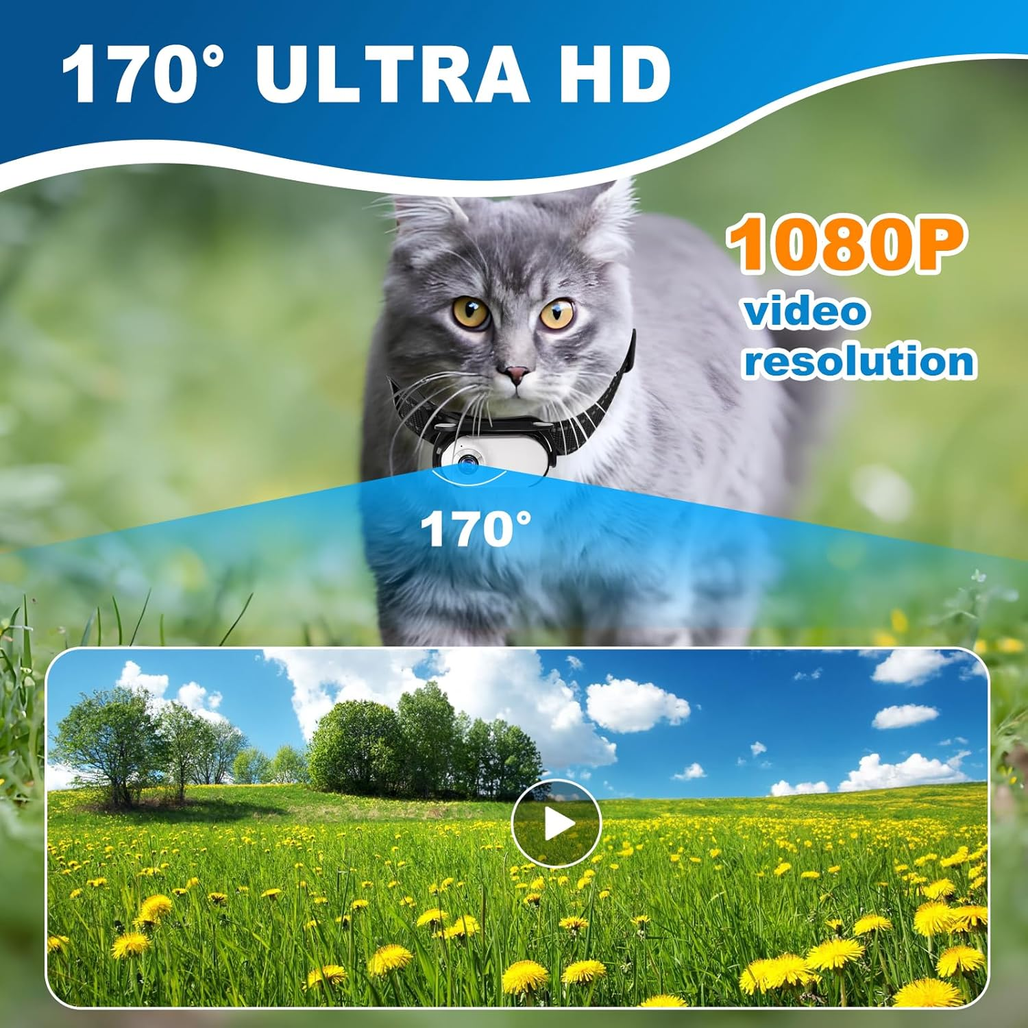 Graue Katze mit Kamera am Halsband, 170 Grad Sichtfeld, 1080p Auflösung.