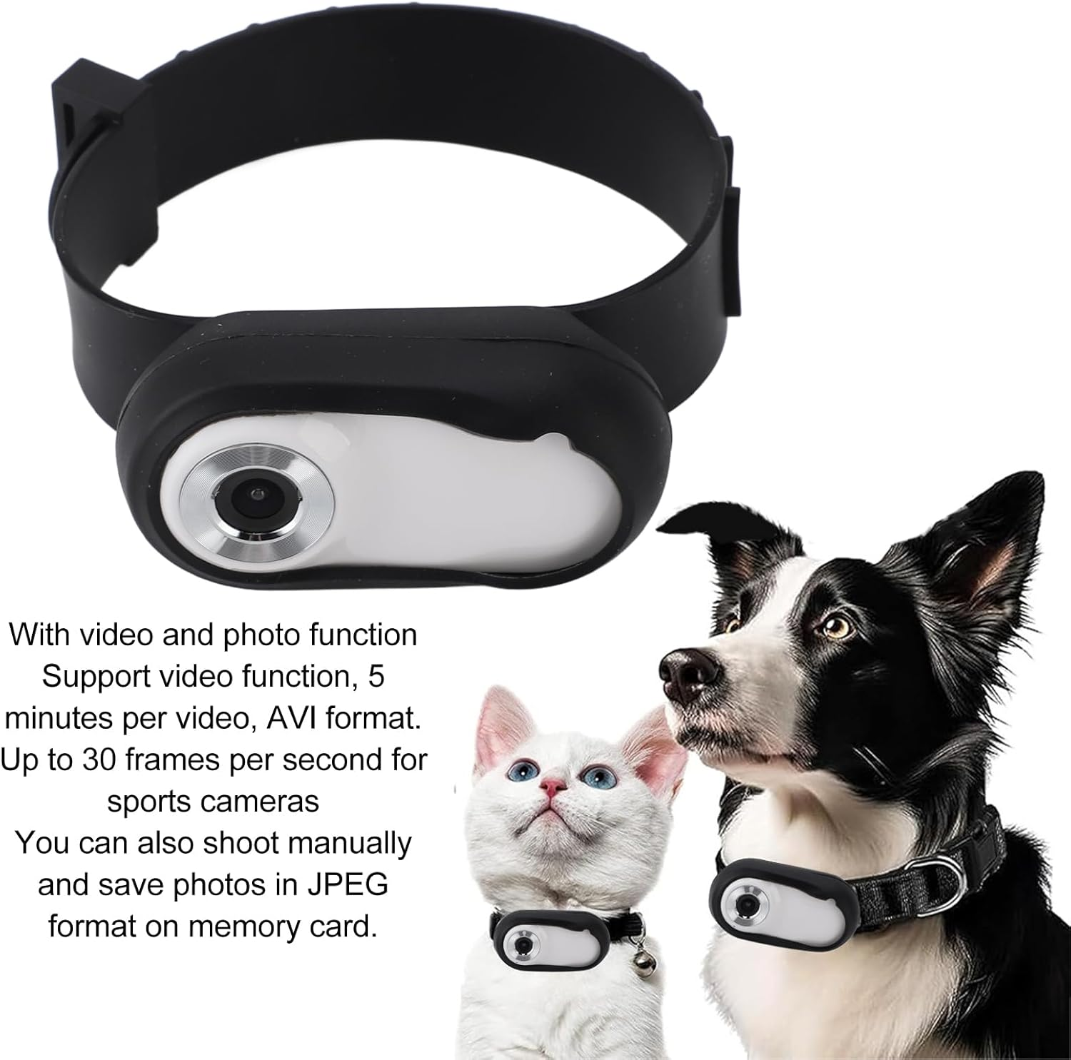 Ein schwarzer Gurt mit Kamera für Haustiere, neben einem Hund und einer Katze.