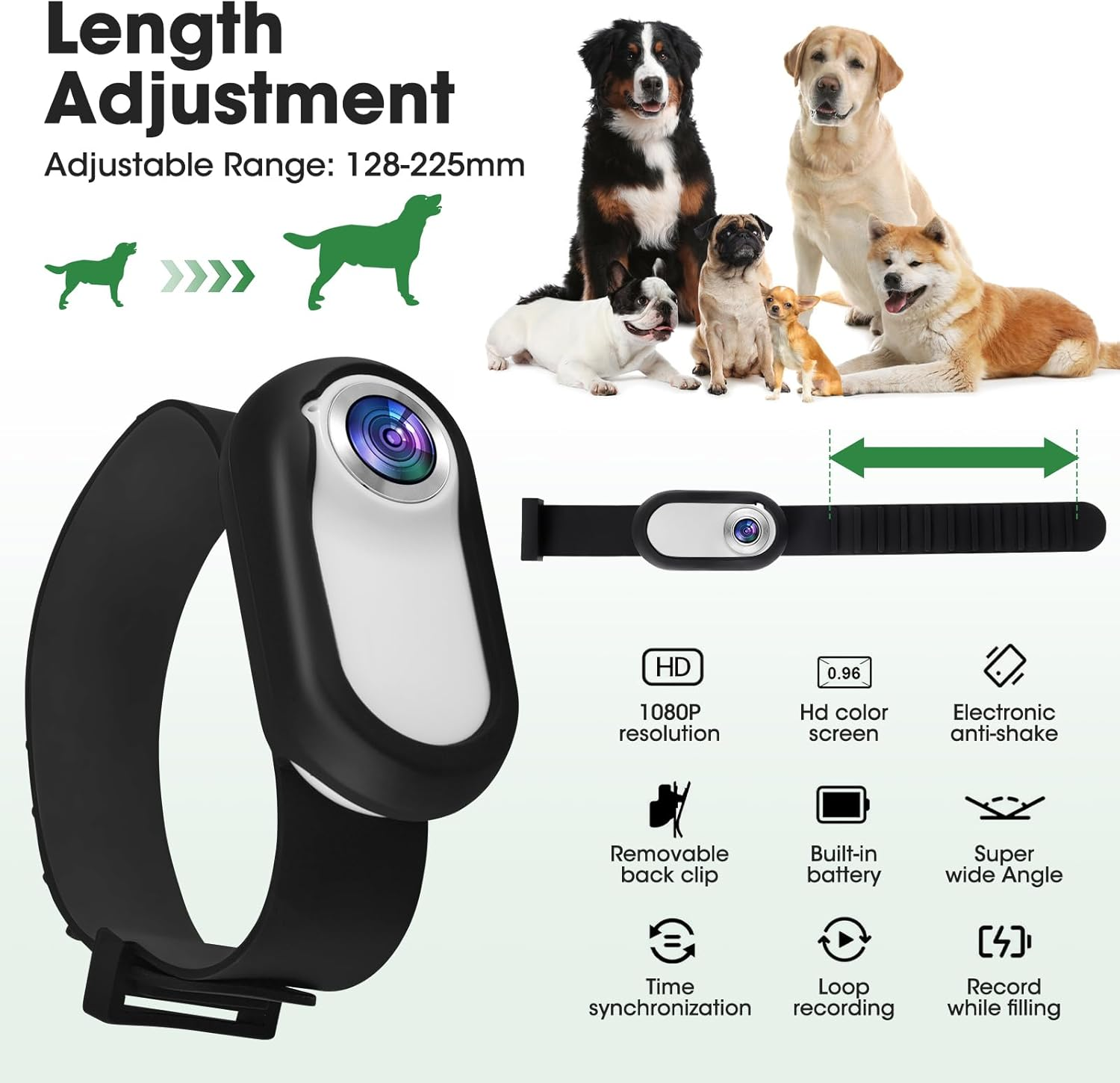 Produktbild mit Hunden und einer Armbandkamera mit Funktionen.